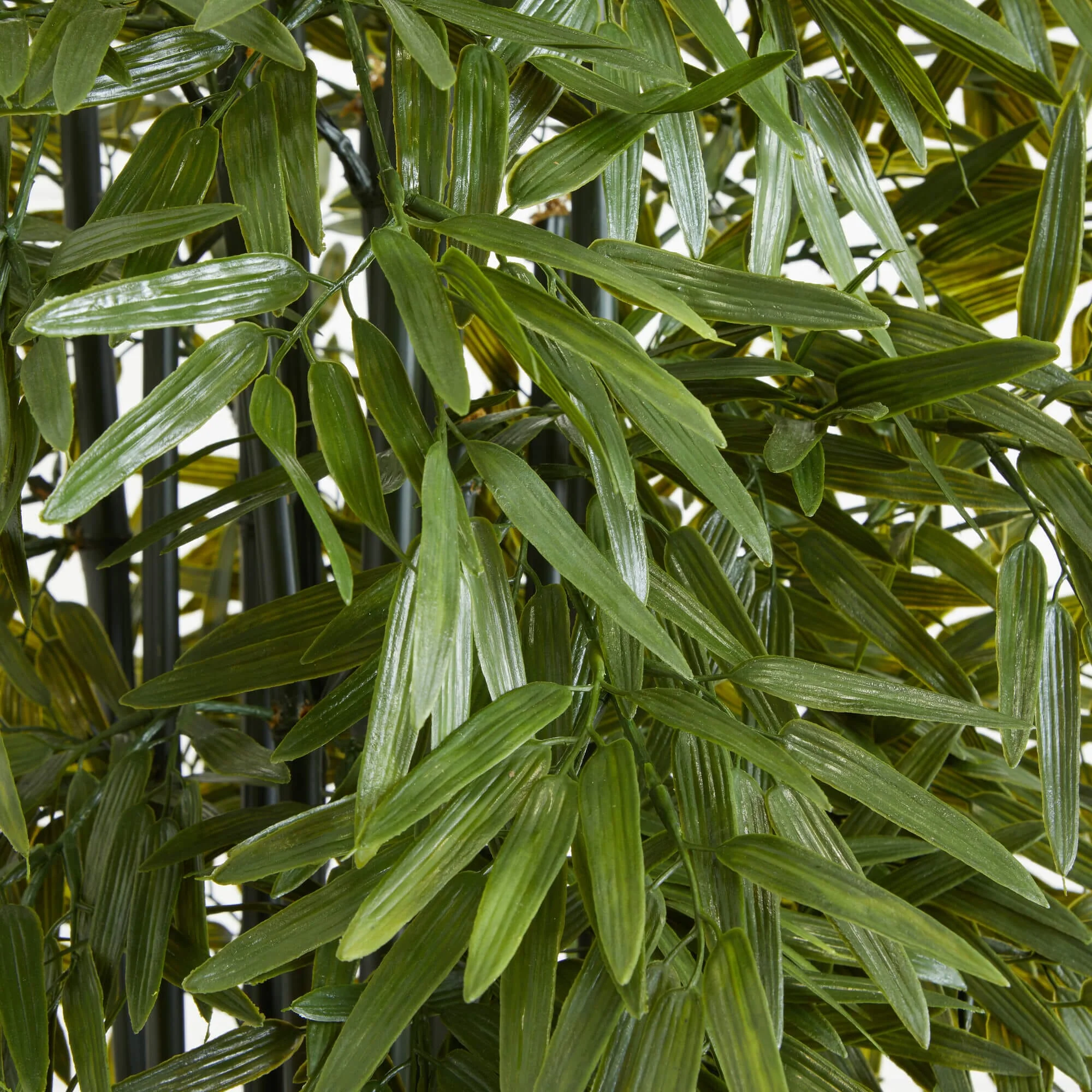 6’ Bamboo Artificial Tree with Black Trunks in Planter (Indoor/Outdoor) - Image 2