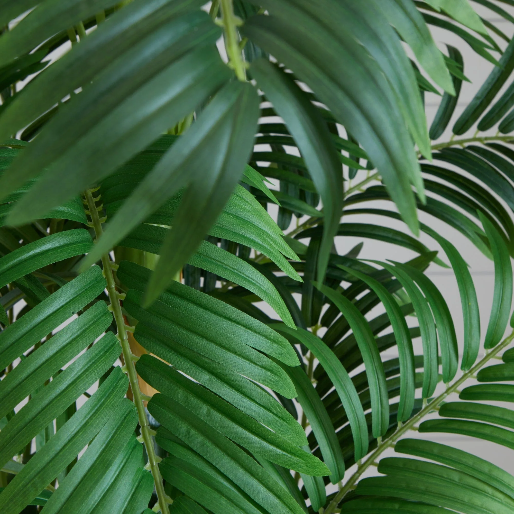 6’ Curvy Parlor Palm Silk Tree - Image 2