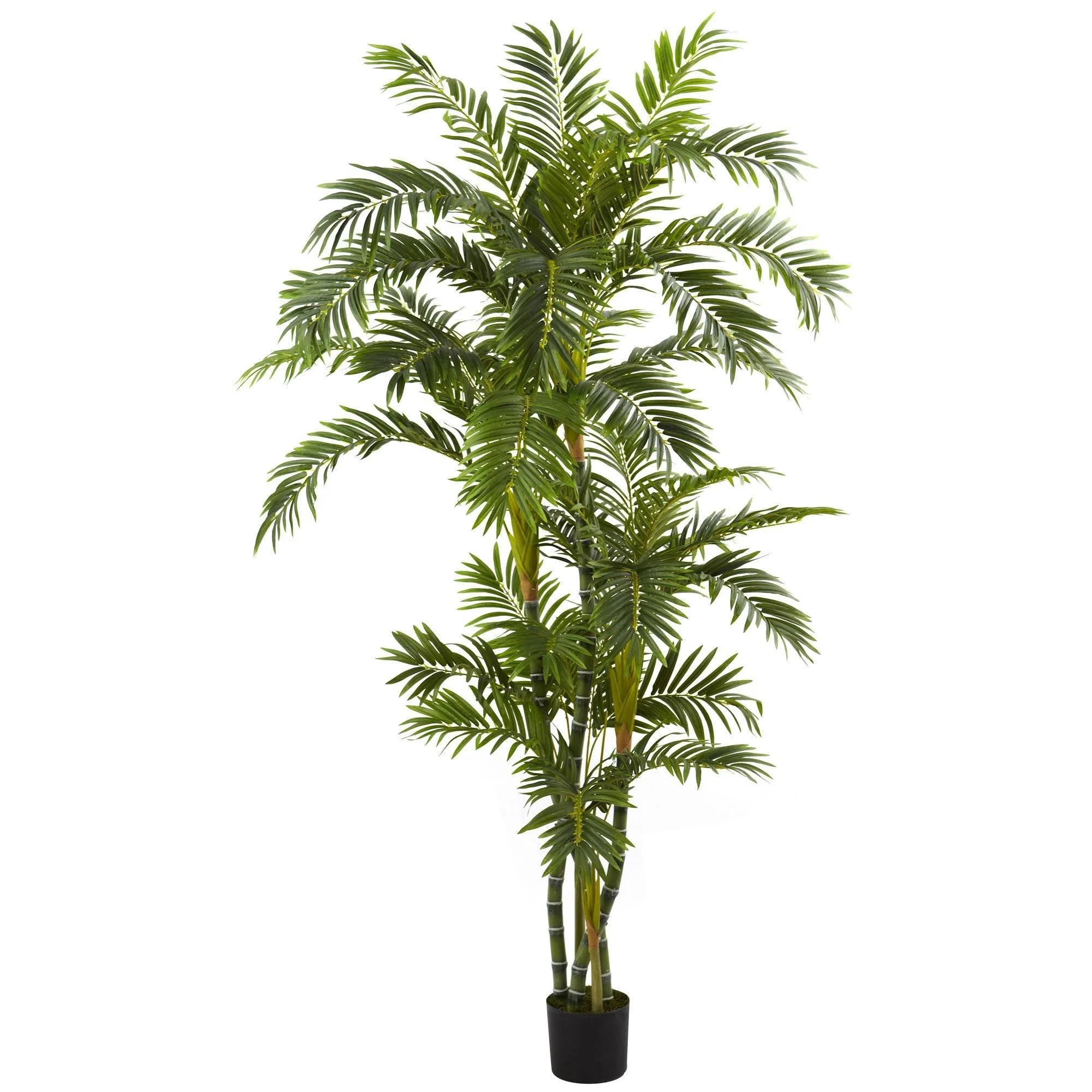 6’ Curvy Parlor Palm Silk Tree - Image 4
