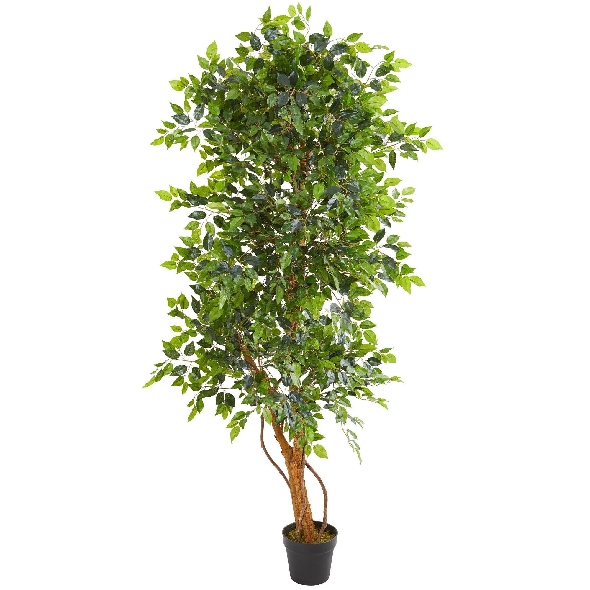 6’ Elegant Ficus Artificial Tree - Image 3