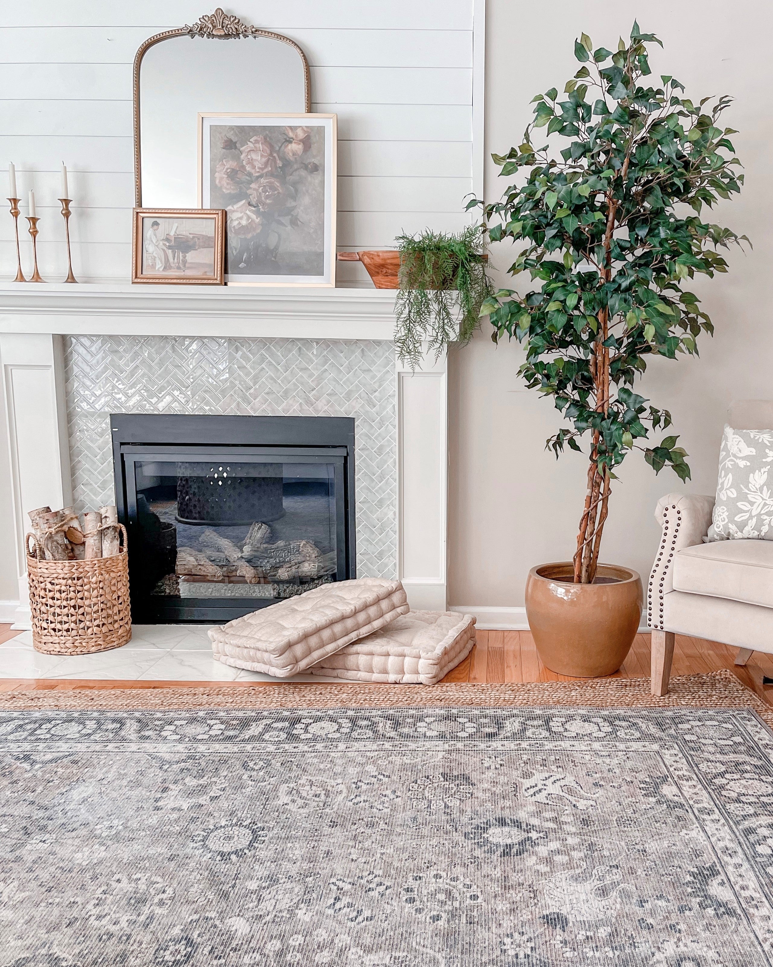 6' Ficus Silk Tree - Image 3