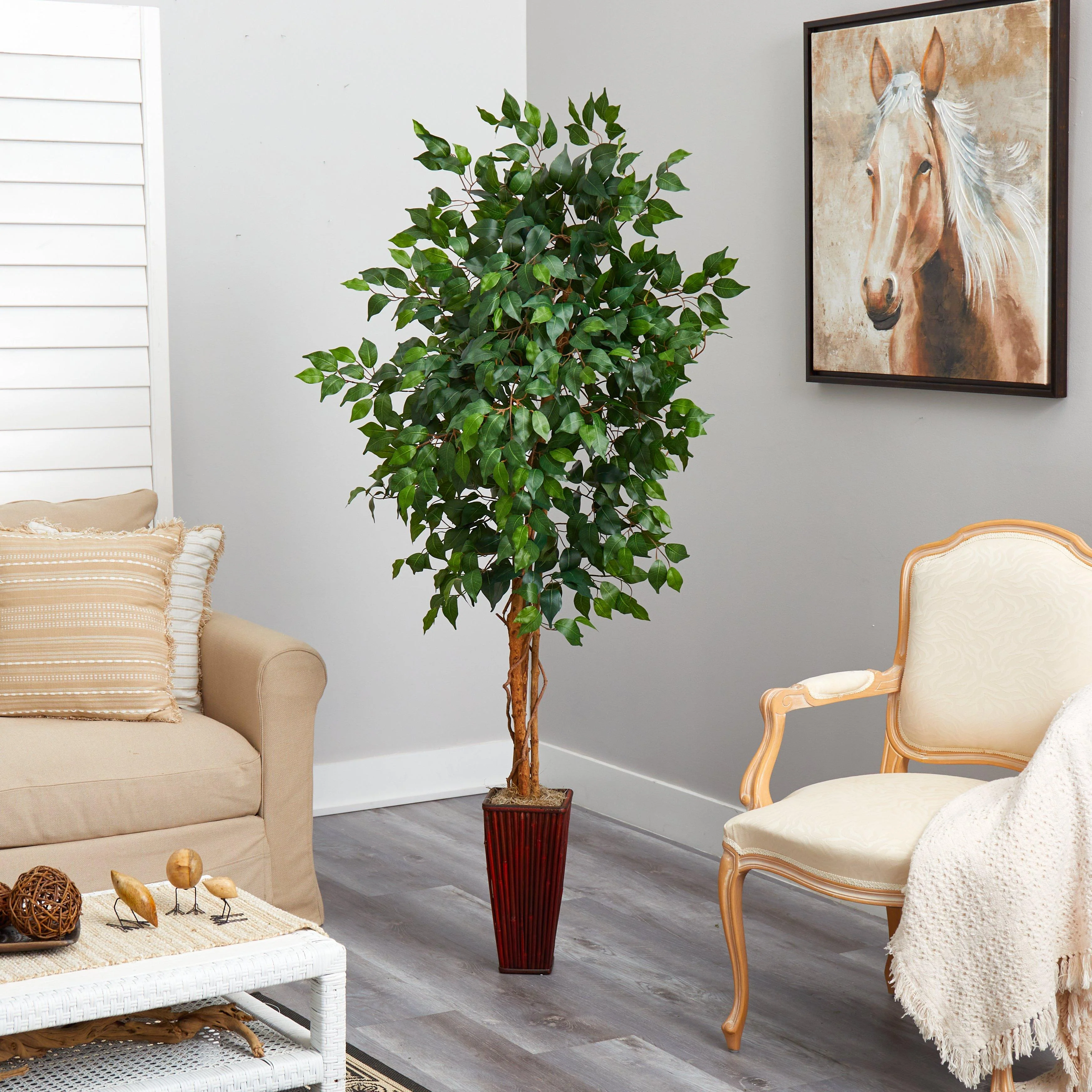 6' Ficus Tree w/Bamboo Planter - Image 4