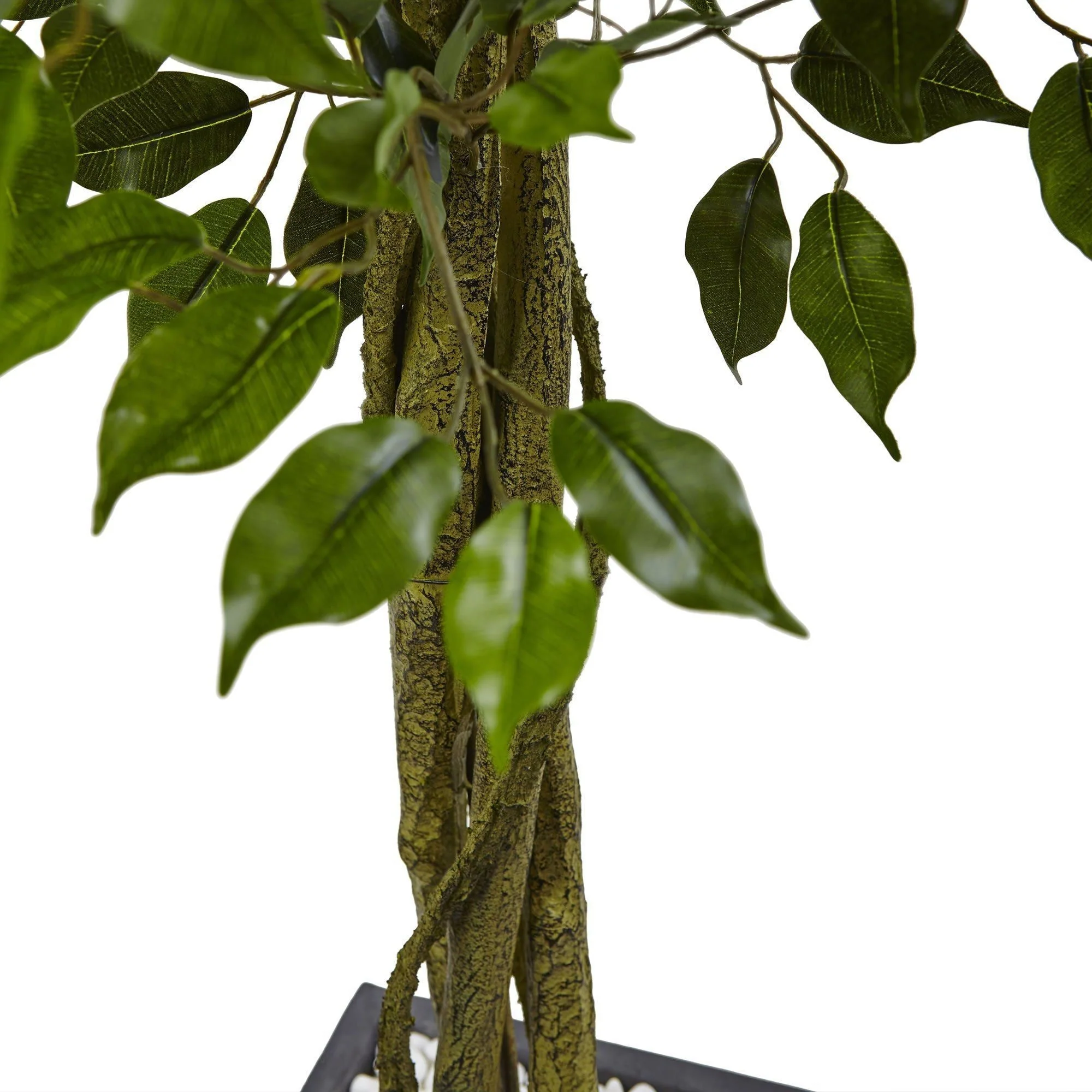 6' Ficus Tree with Slate Planter UV Resistant (Indoor Outdoor) - Image 2