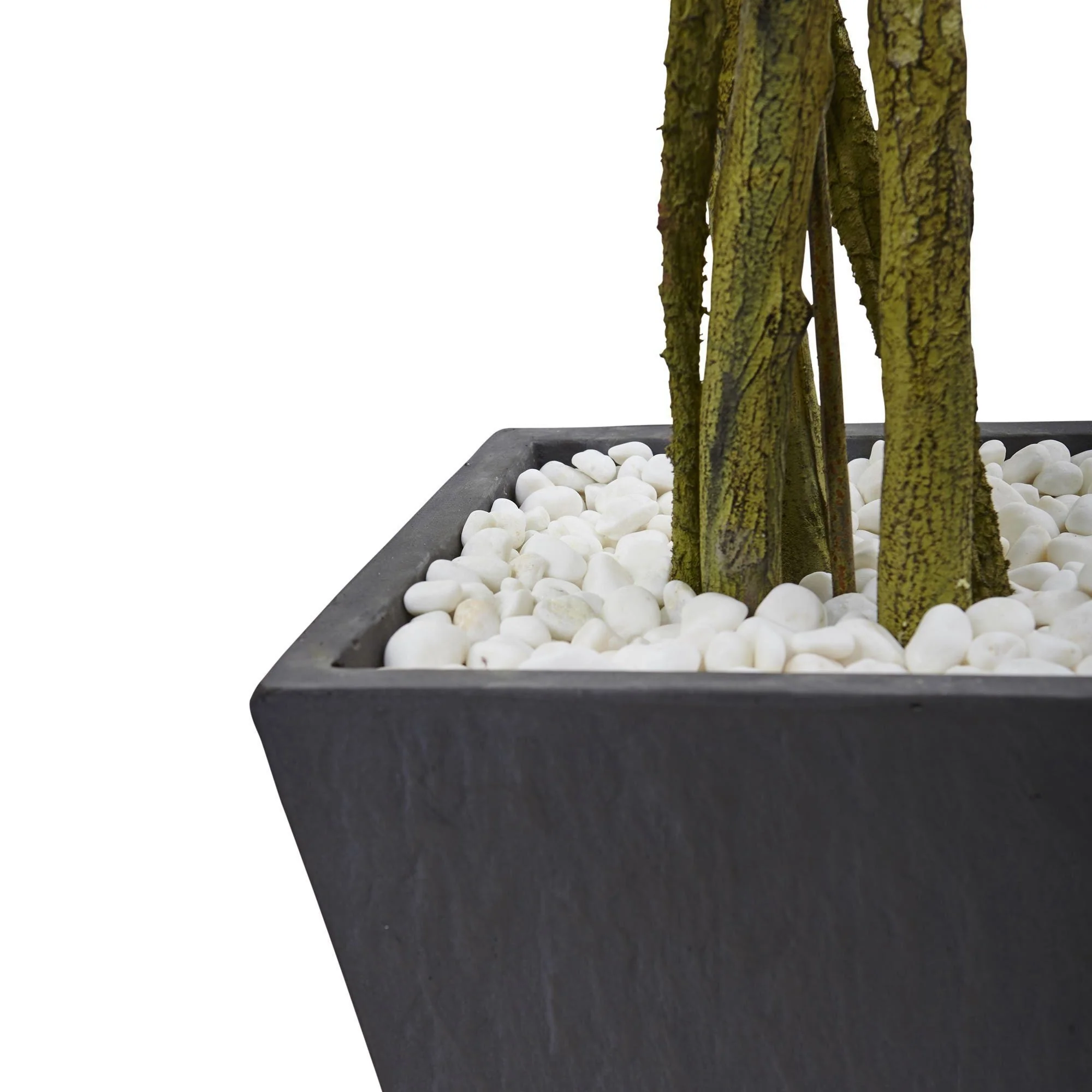 6' Ficus Tree with Slate Planter UV Resistant (Indoor Outdoor) - Image 3