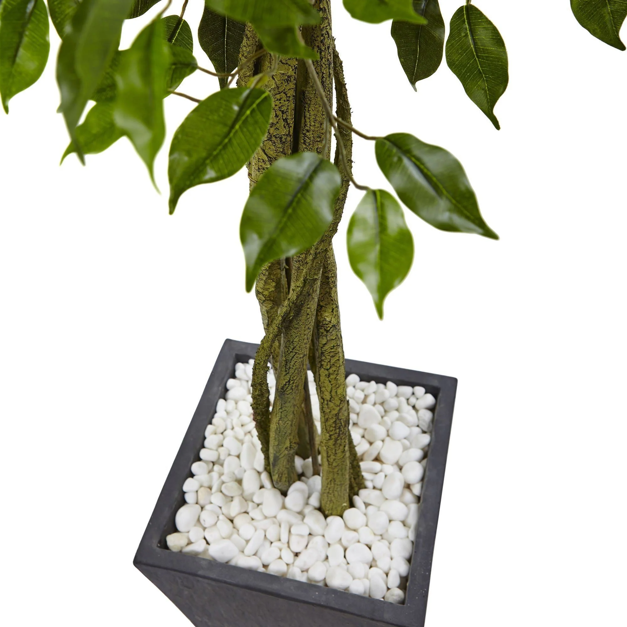 6' Ficus Tree with Slate Planter UV Resistant (Indoor Outdoor) - Image 4
