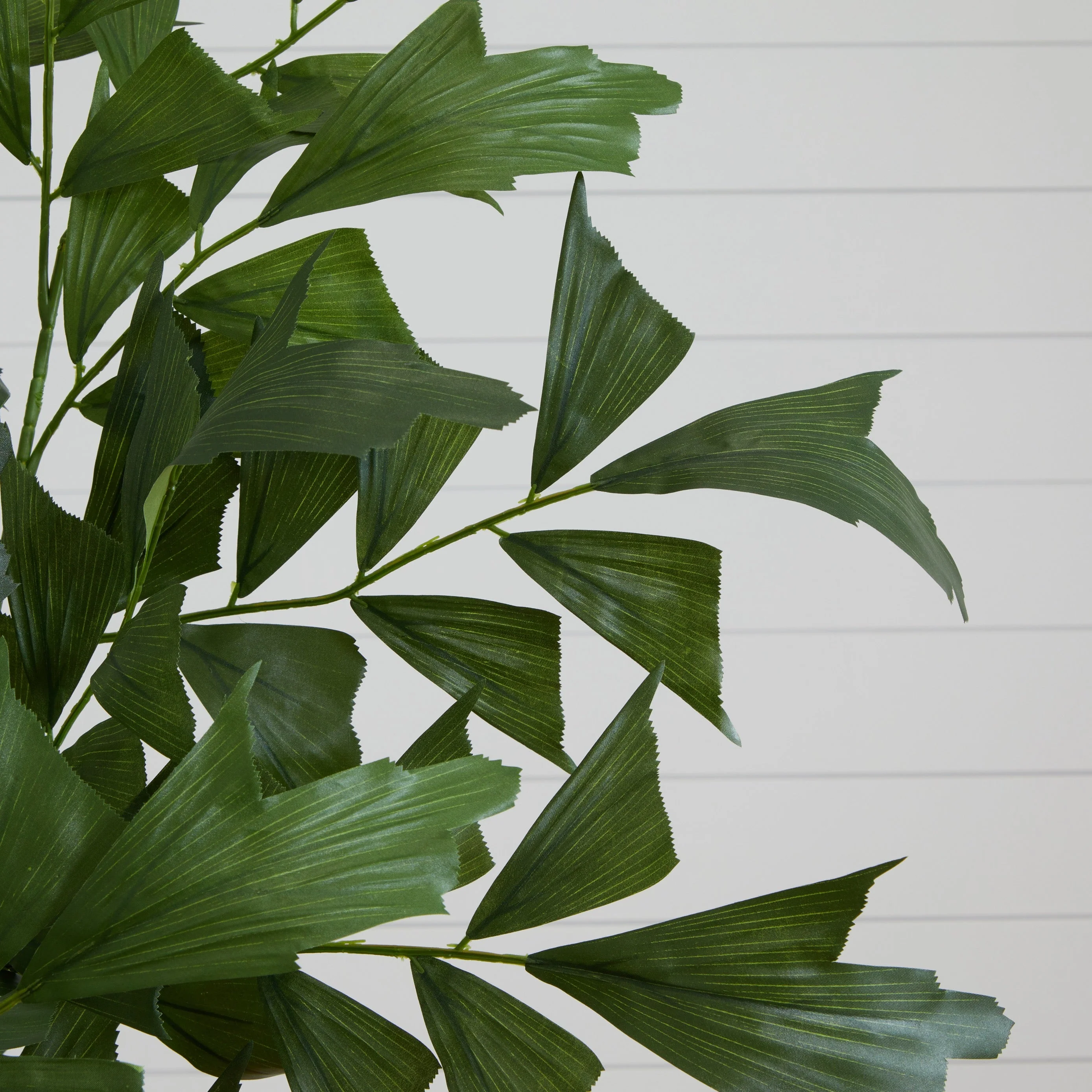 6' Fishtail Palm Tree - Image 2