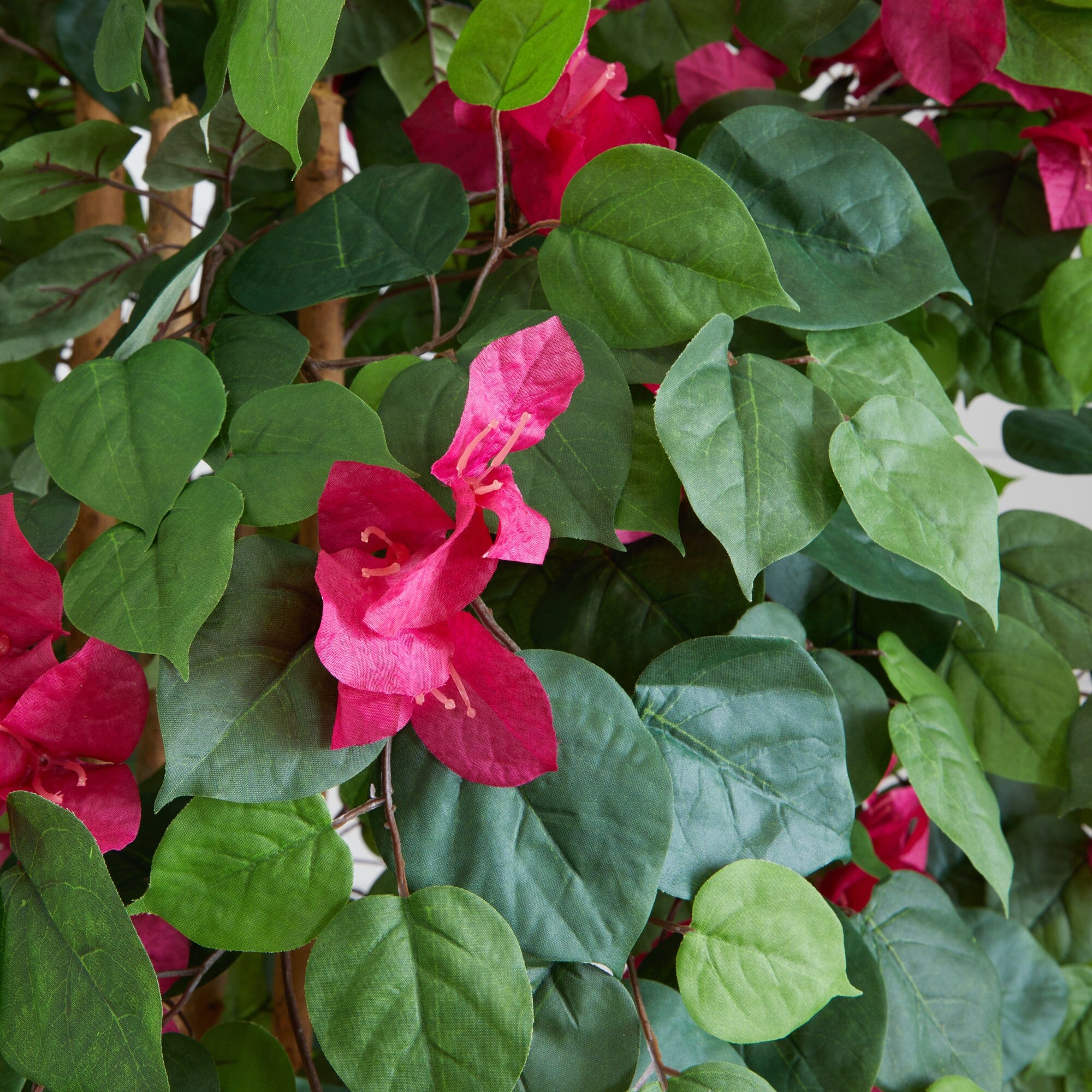 6' Multi Vine Bougainvillea Silk Tree - Image 2