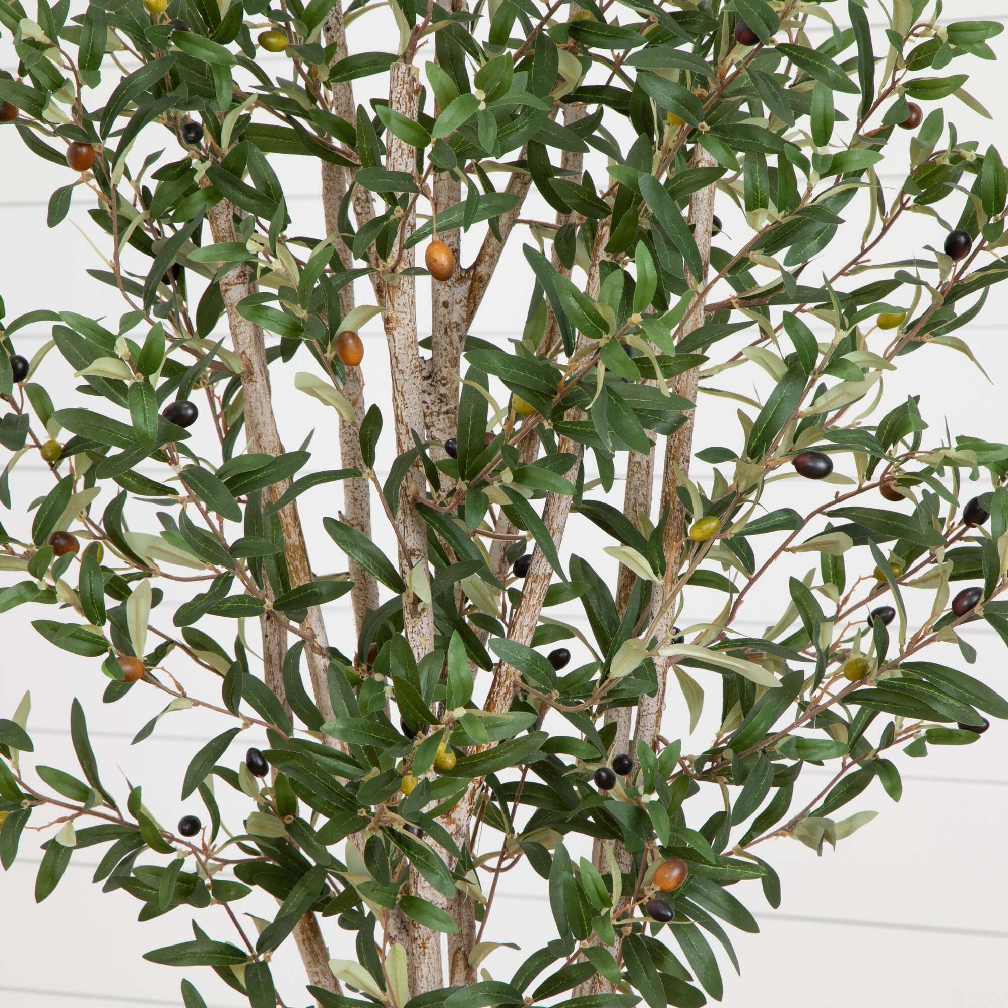 6’ Olive Tree in Stone Planter - Image 2