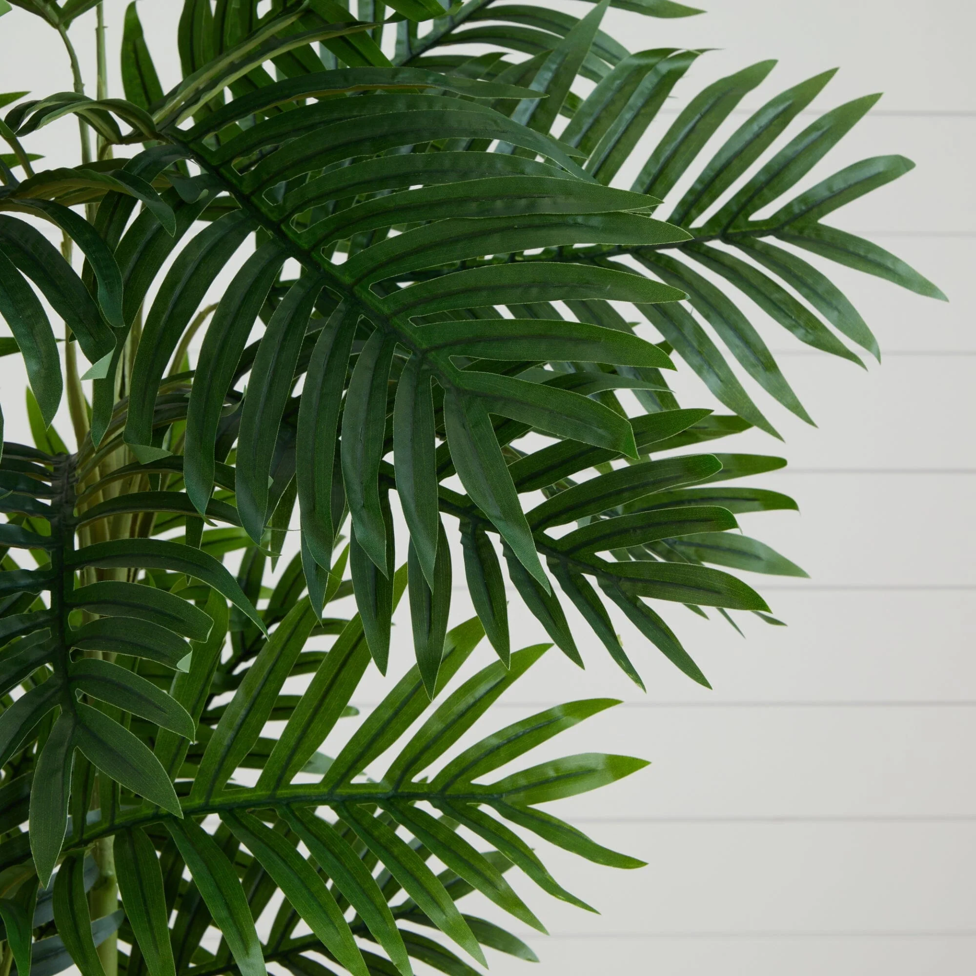 6’ Phoenix Palm Artificial Tree - Image 2