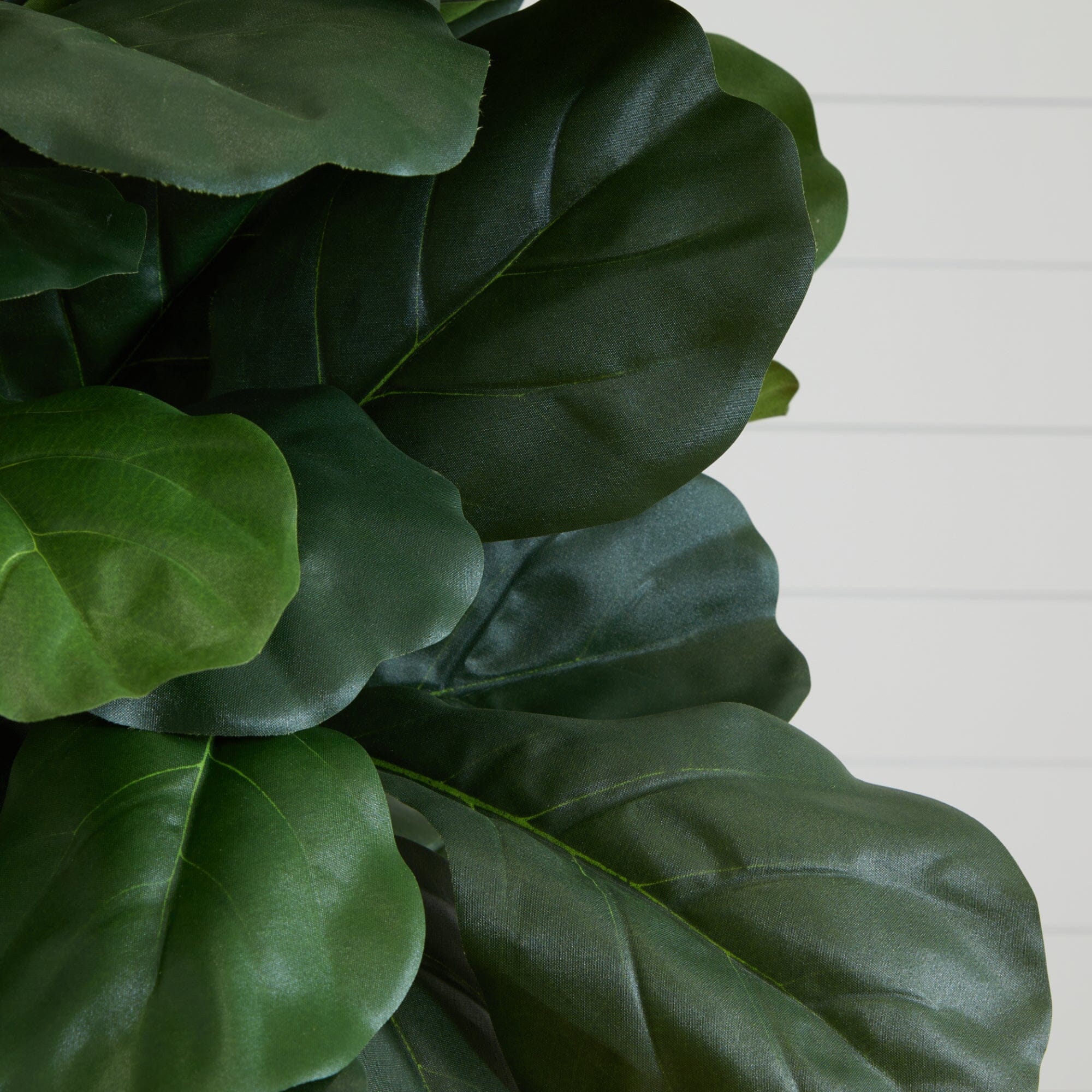 6’ Tall Fiddle Leaf Fig Artificial Tree - Image 2