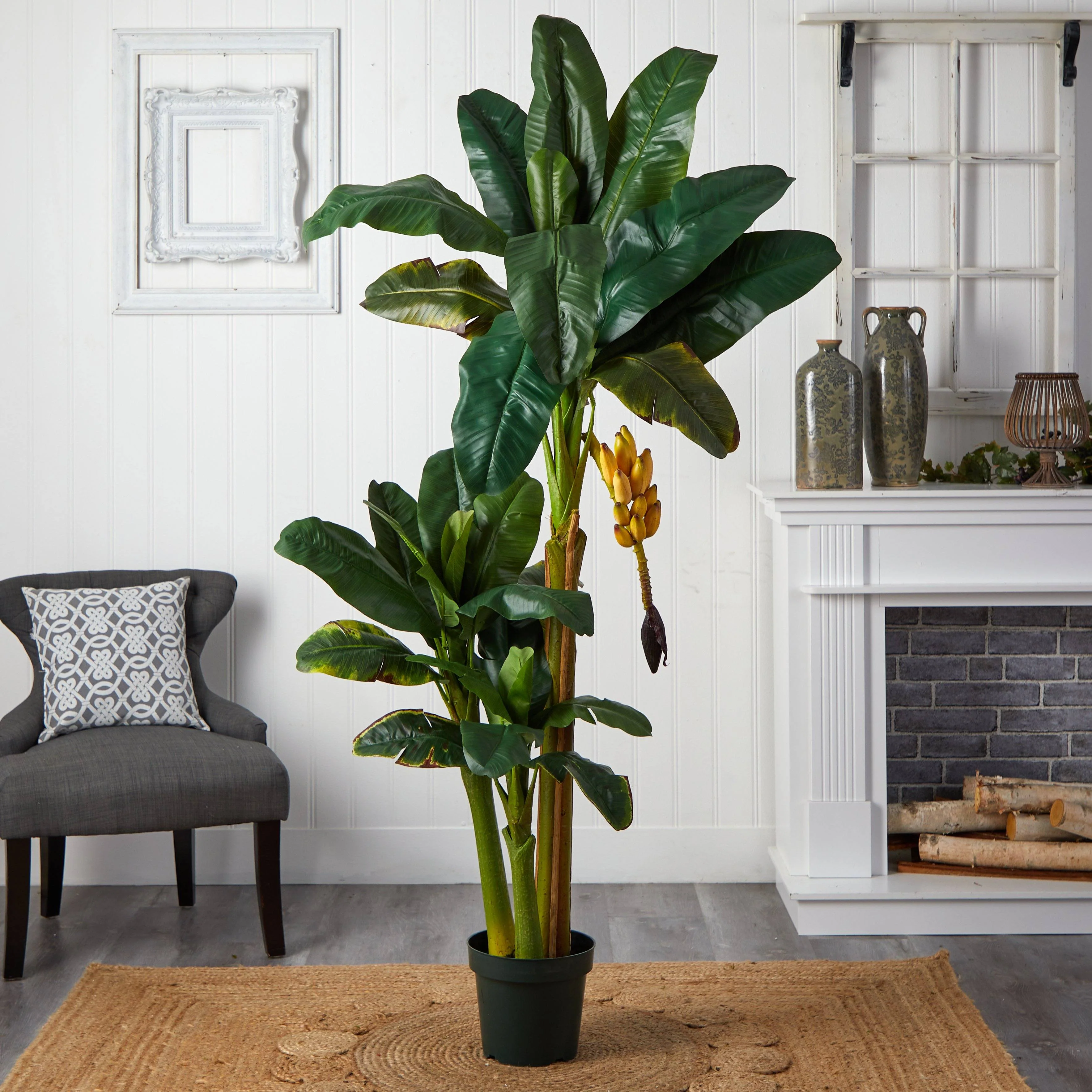 6' Triple Stalk Banana Silk Tree - Image 2