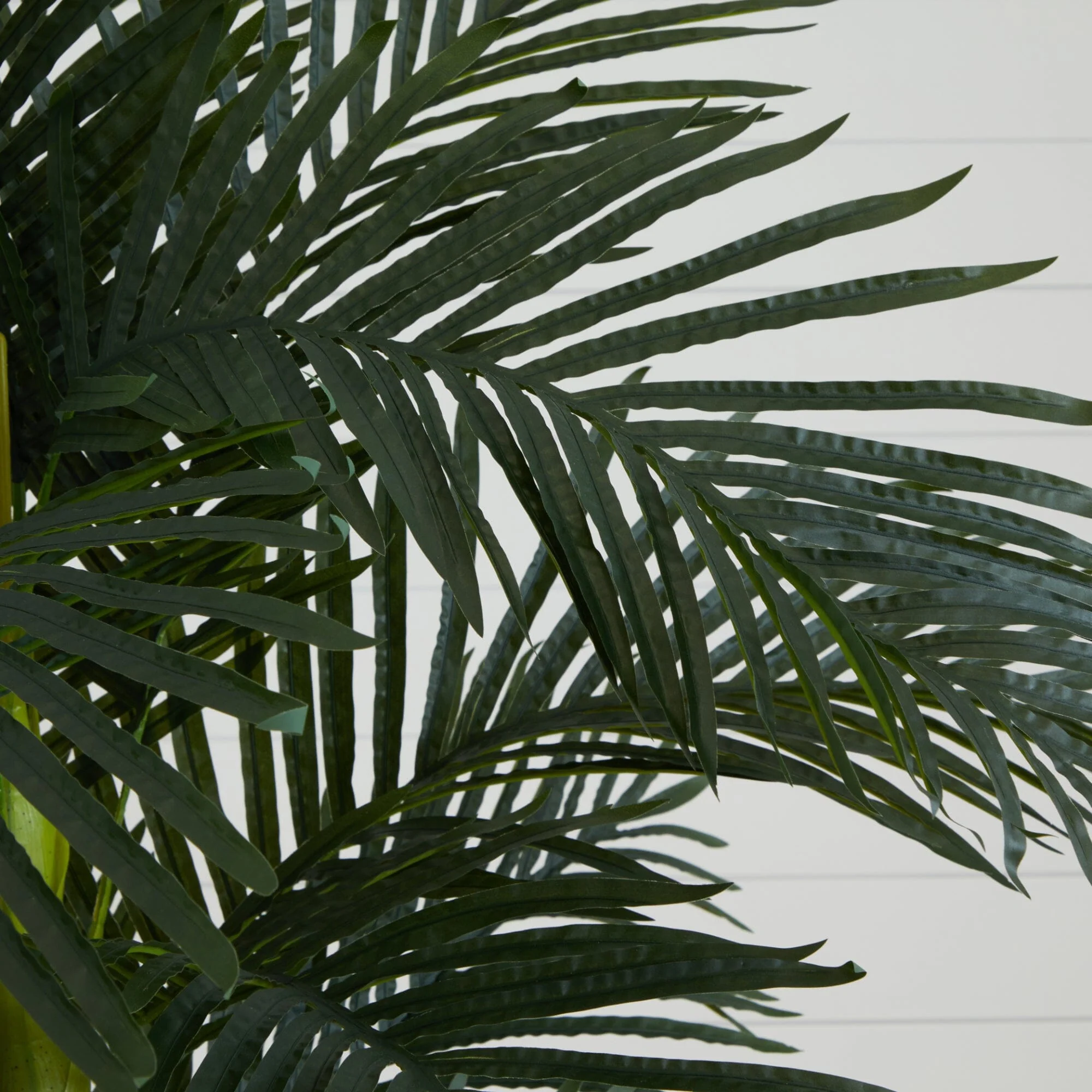 6’ Triple Stalk Golden Cane Artificial Palm Tree - Image 2