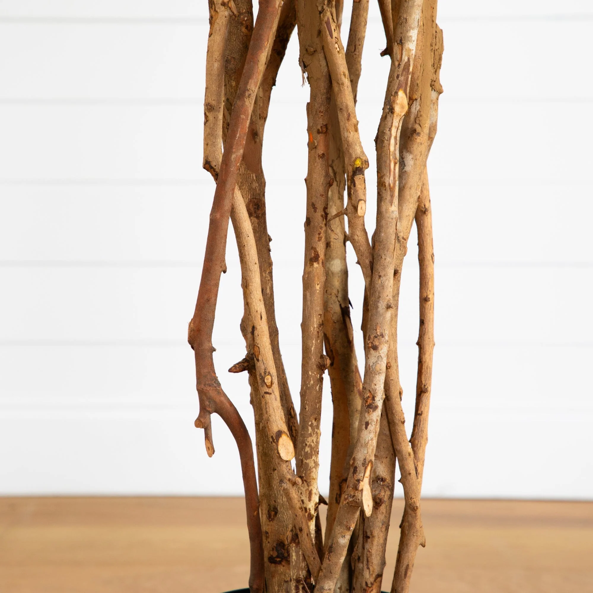 6' Weeping Ficus Silk Tree - Image 3