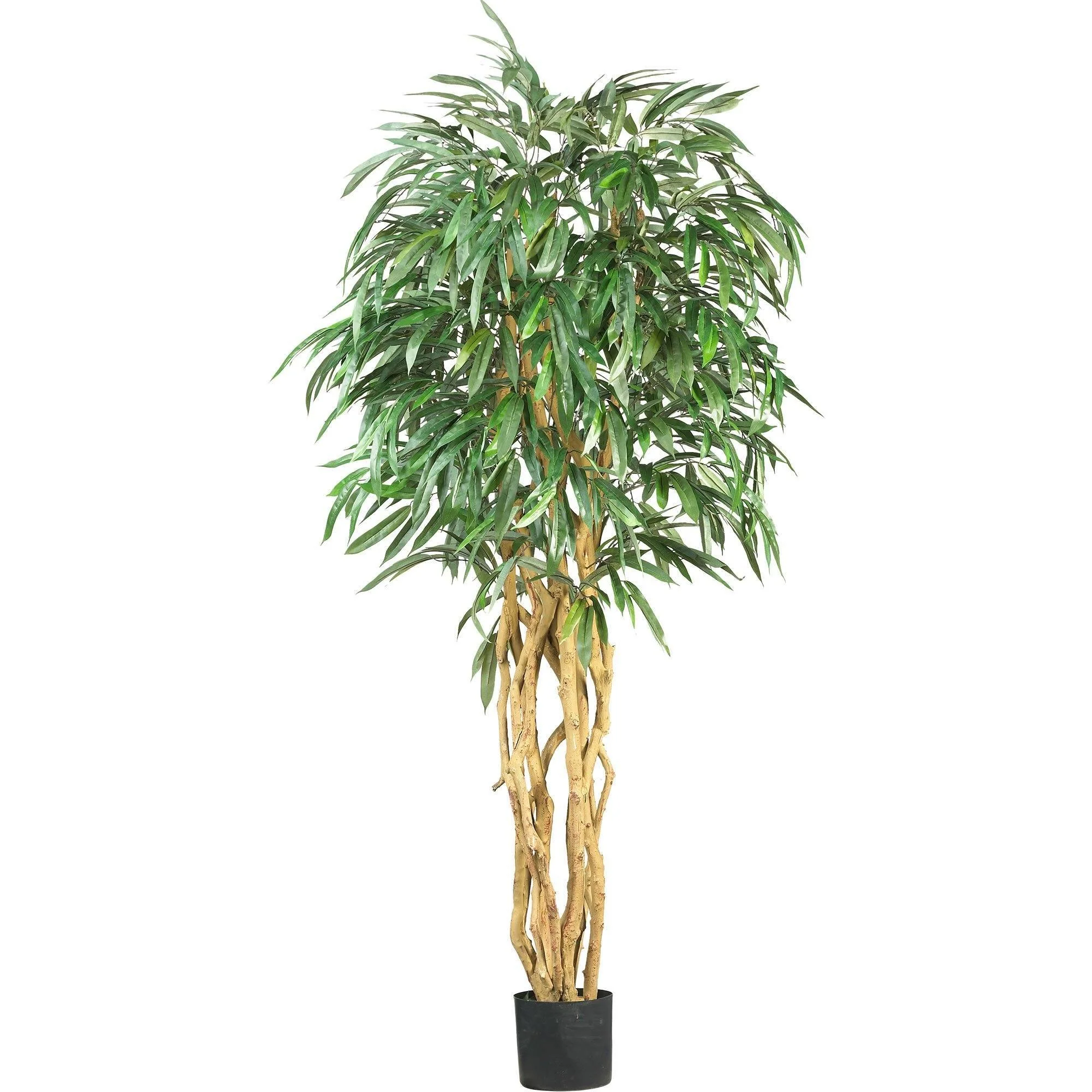 6' Weeping Ficus Silk Tree - Image 4
