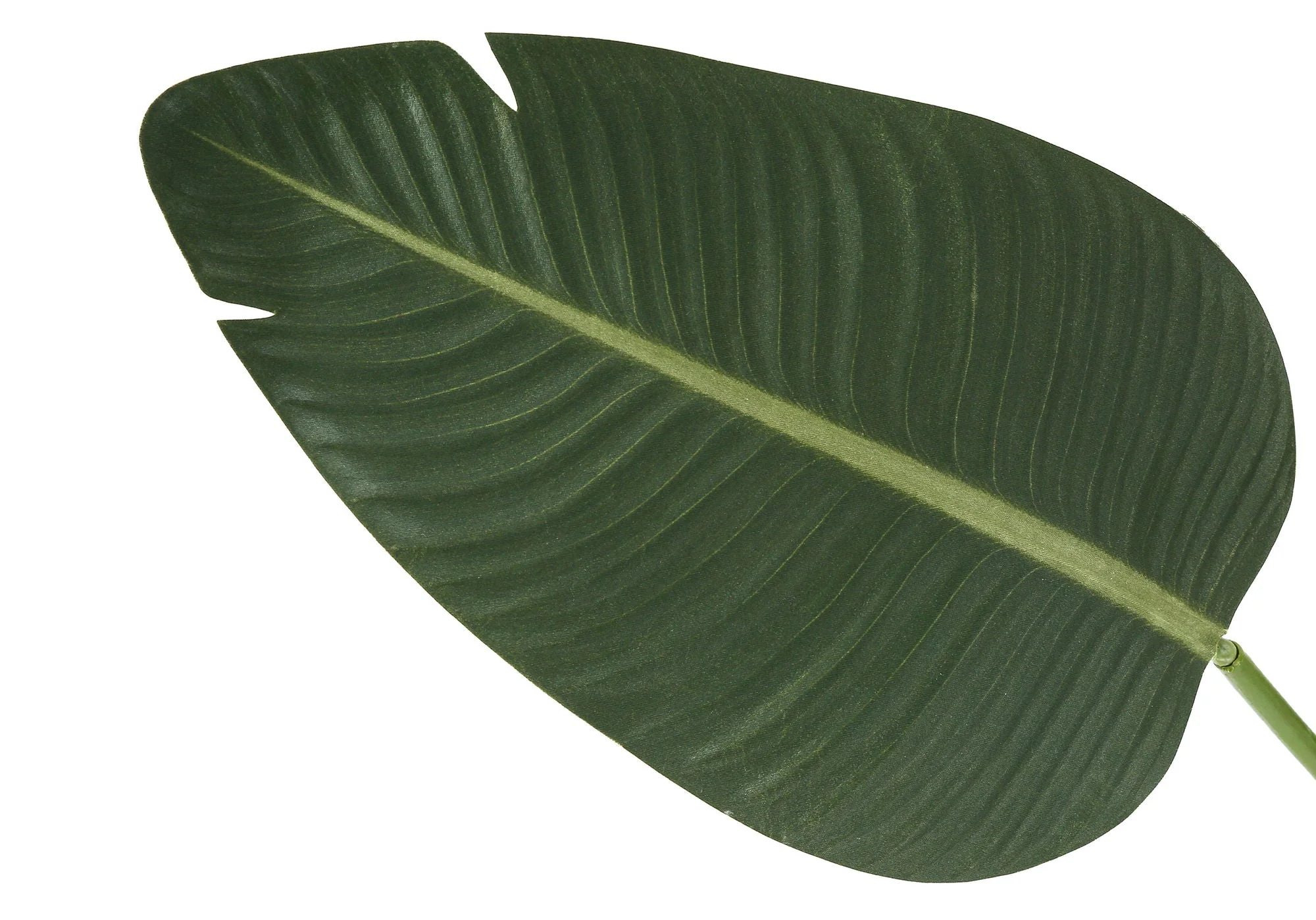 60" Tall, Artificial Plant, Bird Of Paradise Tree, Indoor, Faux, Fake, Floor, Greenery, Potted, Decorative - Green / Black - Image 2