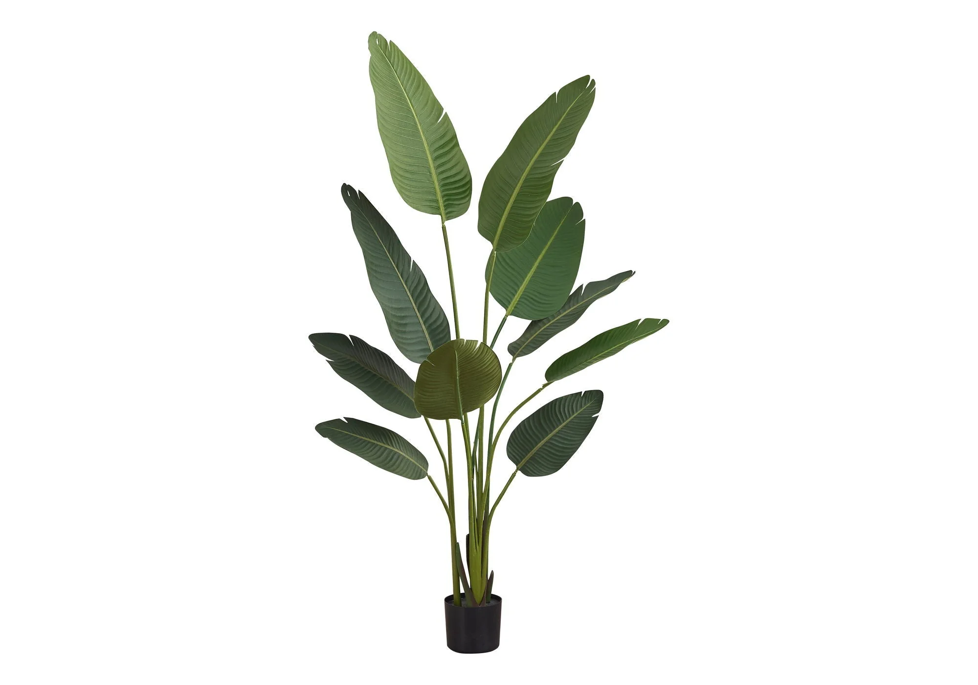 60" Tall, Artificial Plant, Bird Of Paradise Tree, Indoor, Faux, Fake, Floor, Greenery, Potted, Decorative - Green / Black - Image 3