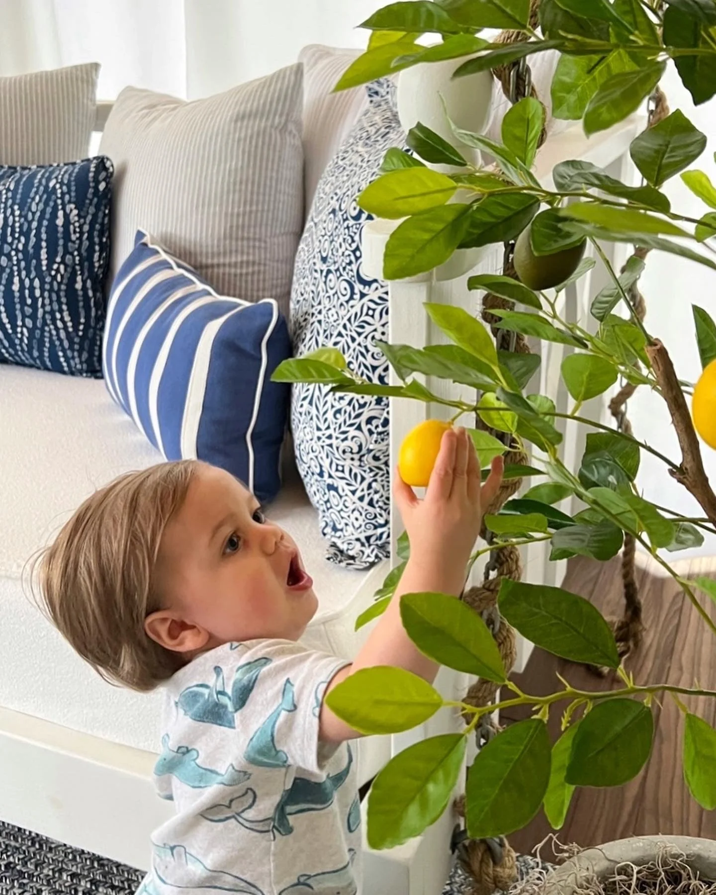 61” Lemon Artificial Tree - Image 3