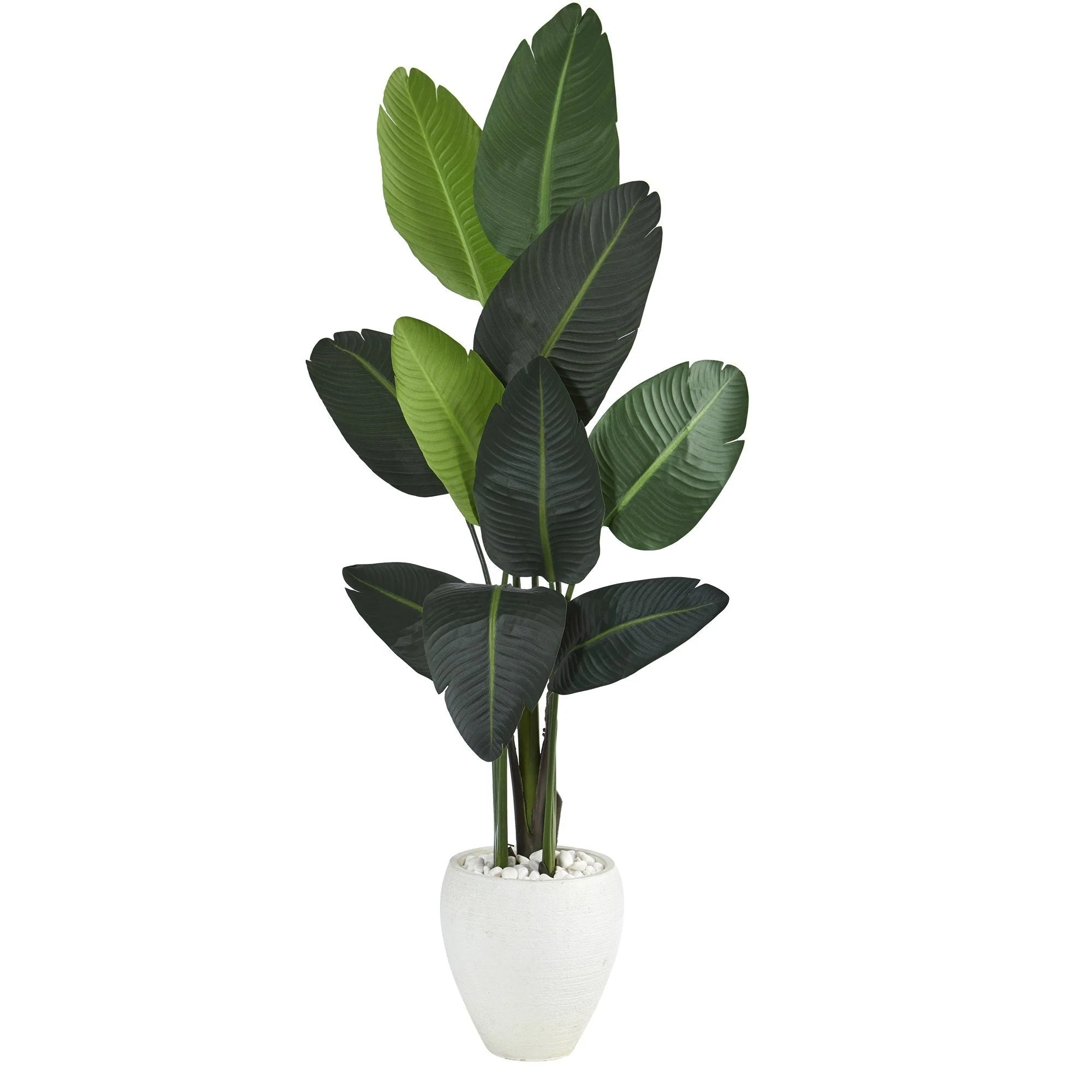 63” Traveler's Palm Artificial tree in White Planter - Image 5
