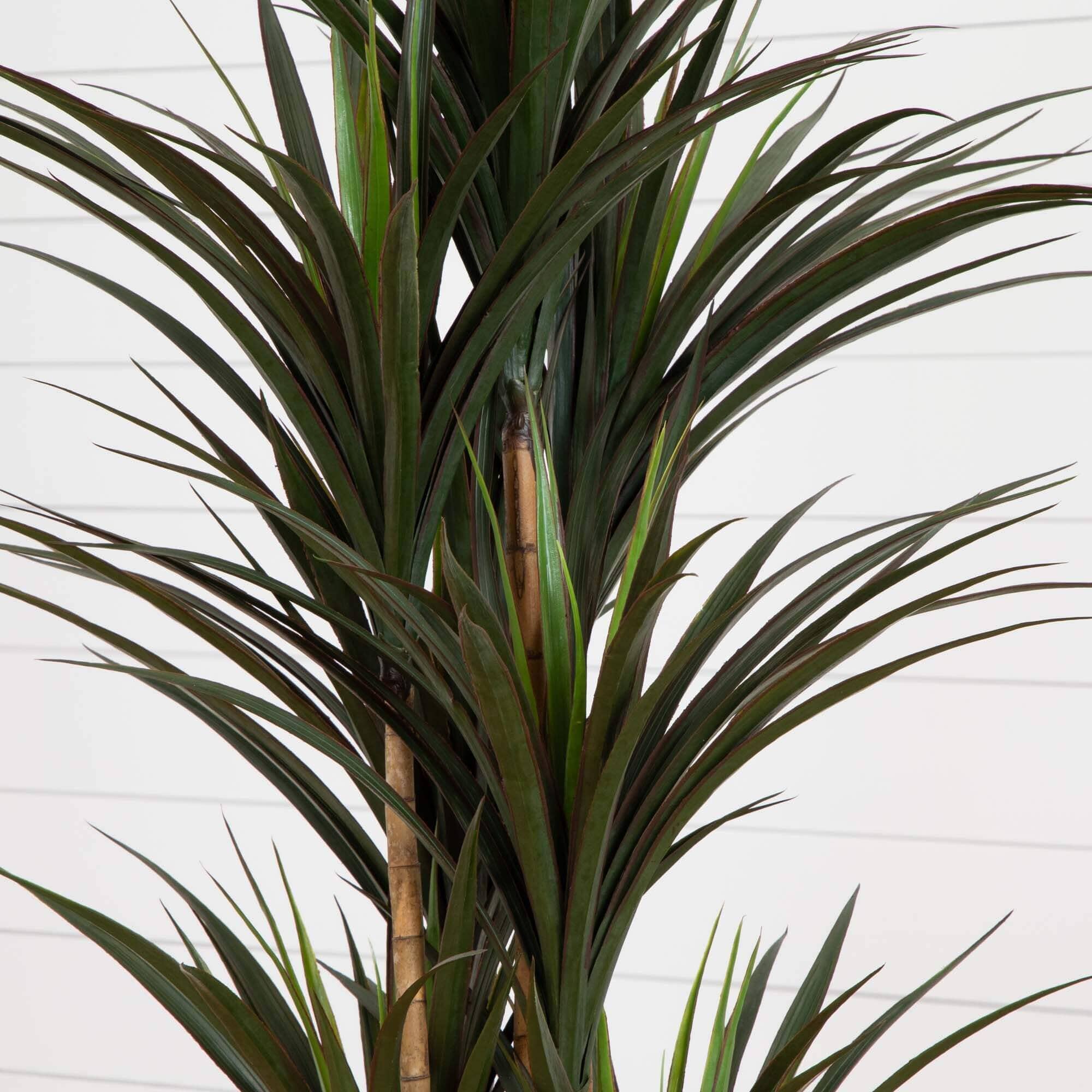 68” Giant Yucca Artificial Tree in Planter (Indoor/Outdoor) - Image 2