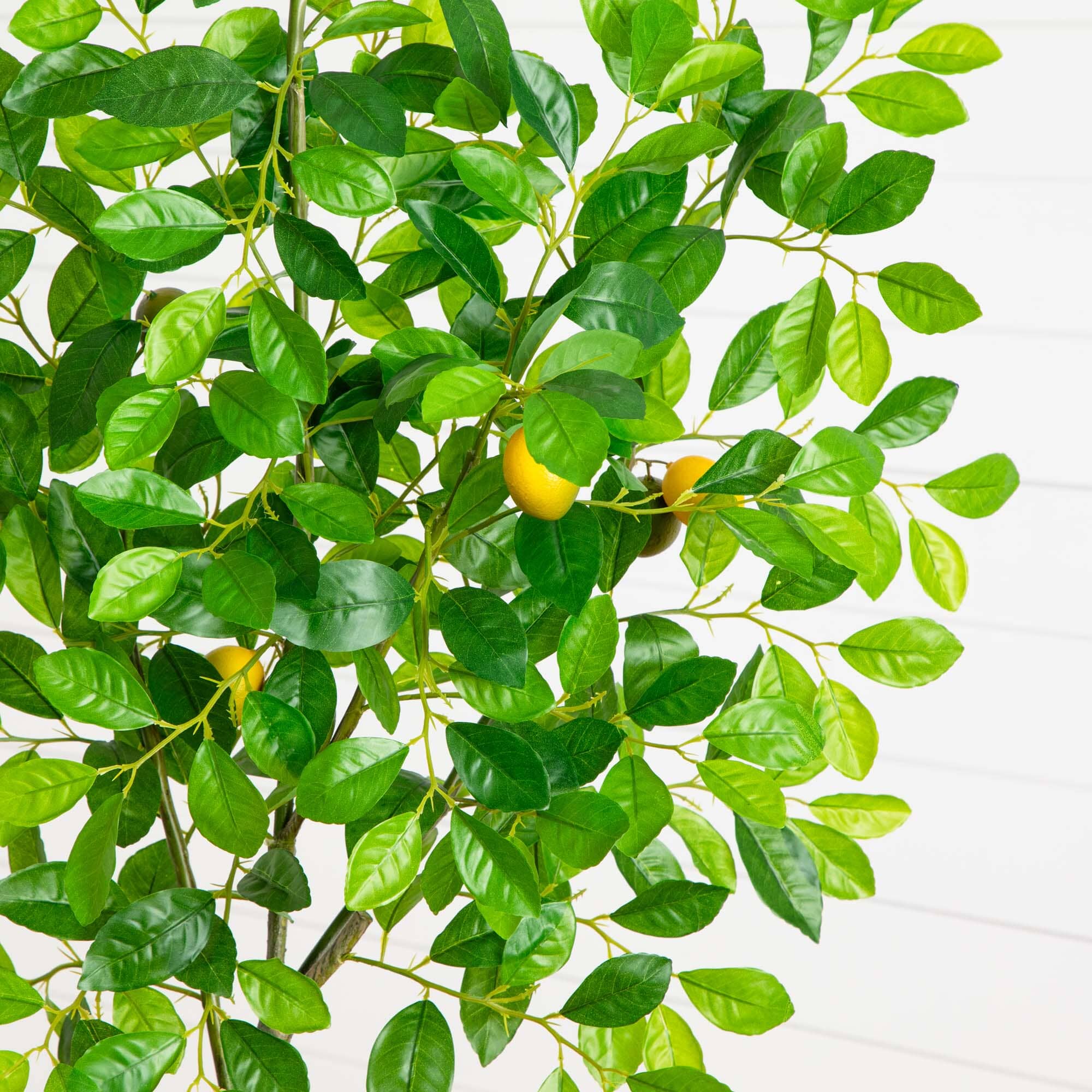 68” Lemon Artificial Tree in White Planter - Image 2