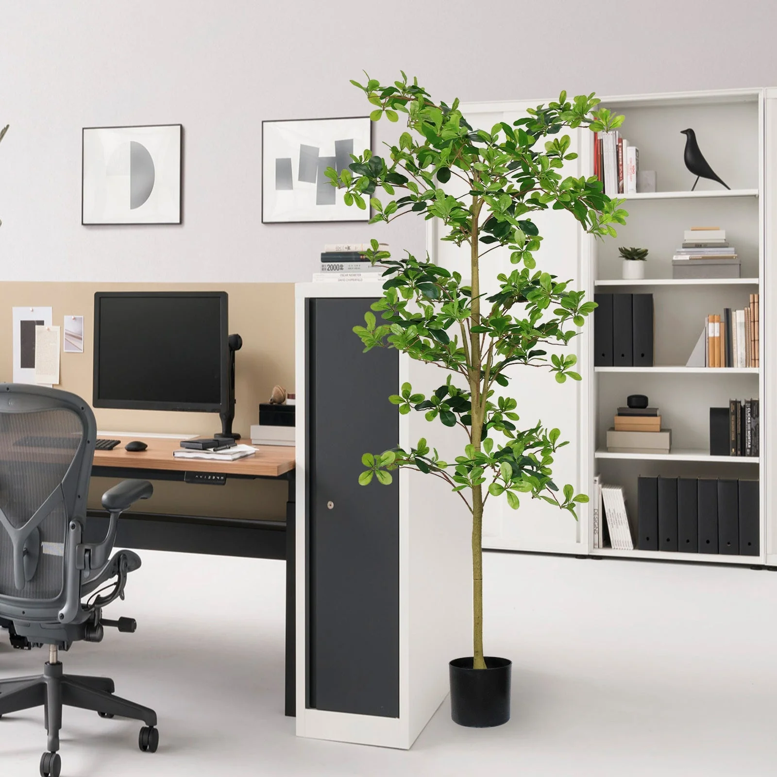 6FT Tall Artificial Polyscias Fruticosa Tree for Indoor Decor - Image 5