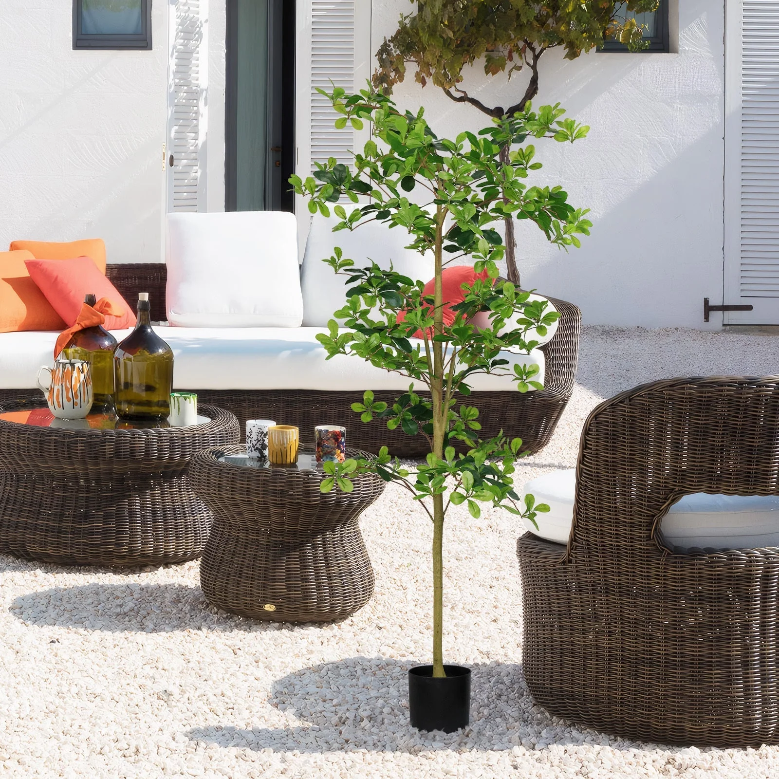 6FT Tall Artificial Polyscias Fruticosa Tree for Indoor Decor - Image 9