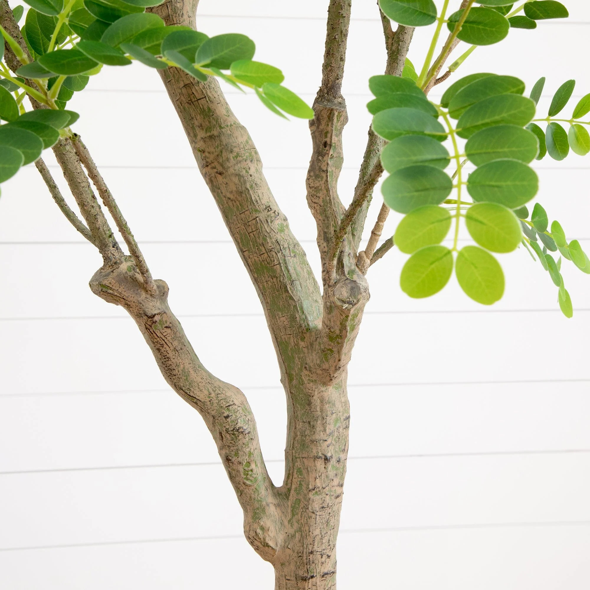 7.5’ Artificial Greco Locust Citrus Tree in Decorative Planter - Image 2