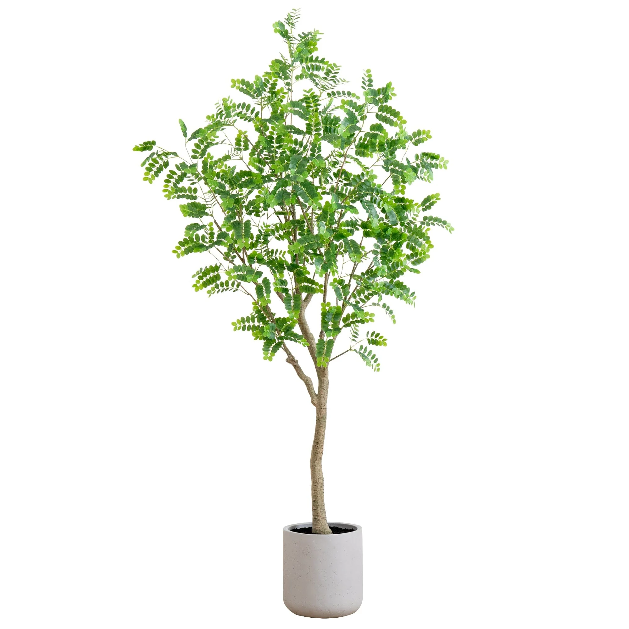 7.5’ Artificial Greco Locust Citrus Tree in Decorative Planter - Image 7