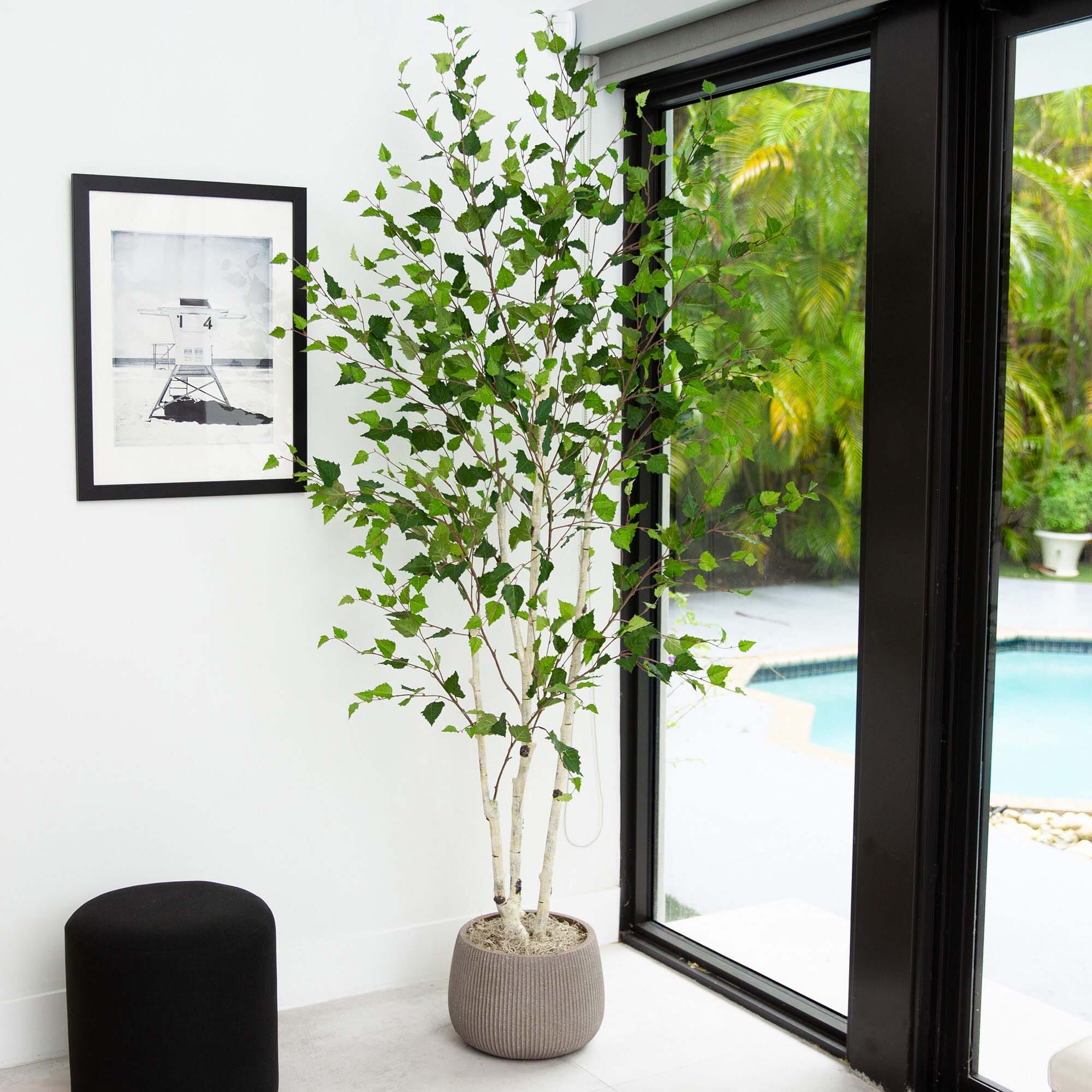 7’ Artificial Birch Tree with Real Touch Leaves - Image 3