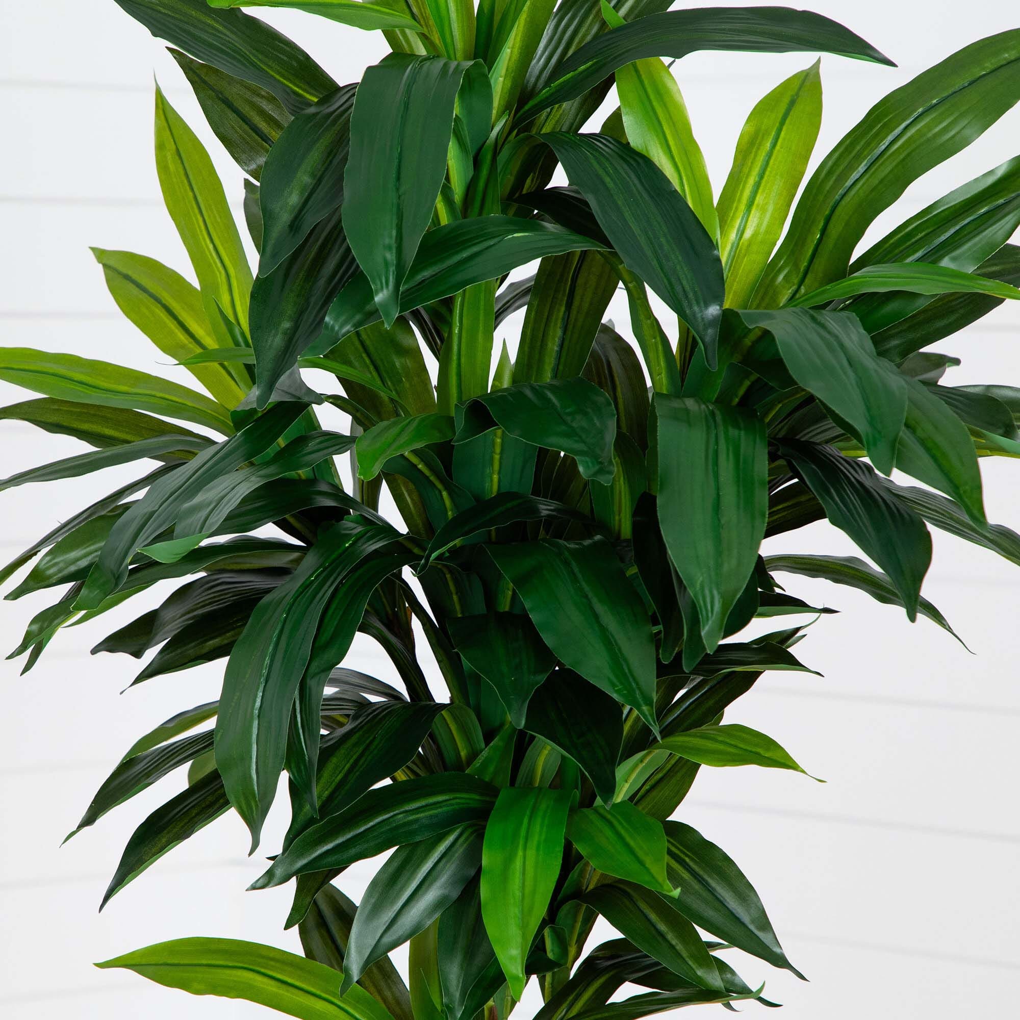 7’ Artificial Dracaena Tree - Image 2