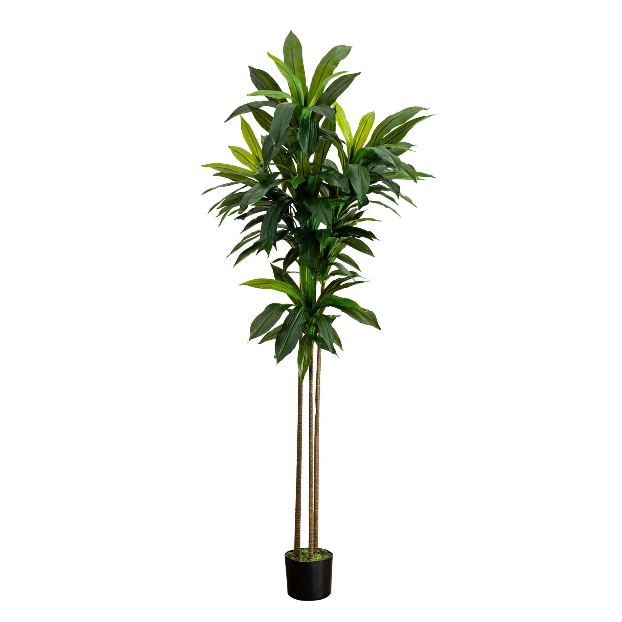 7’ Artificial Dracaena Tree - Image 5