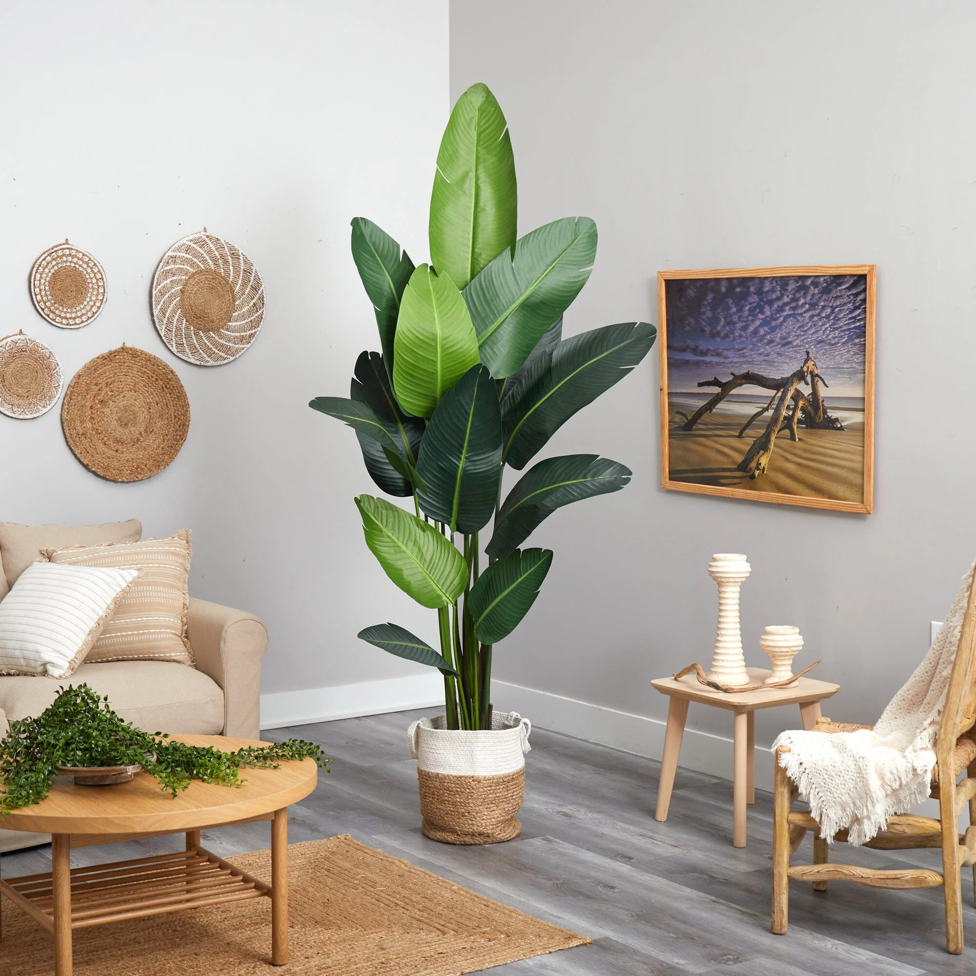 7’ Artificial Travelers Palm Tree with Handmade Jute & Cotton Basket - Image 4