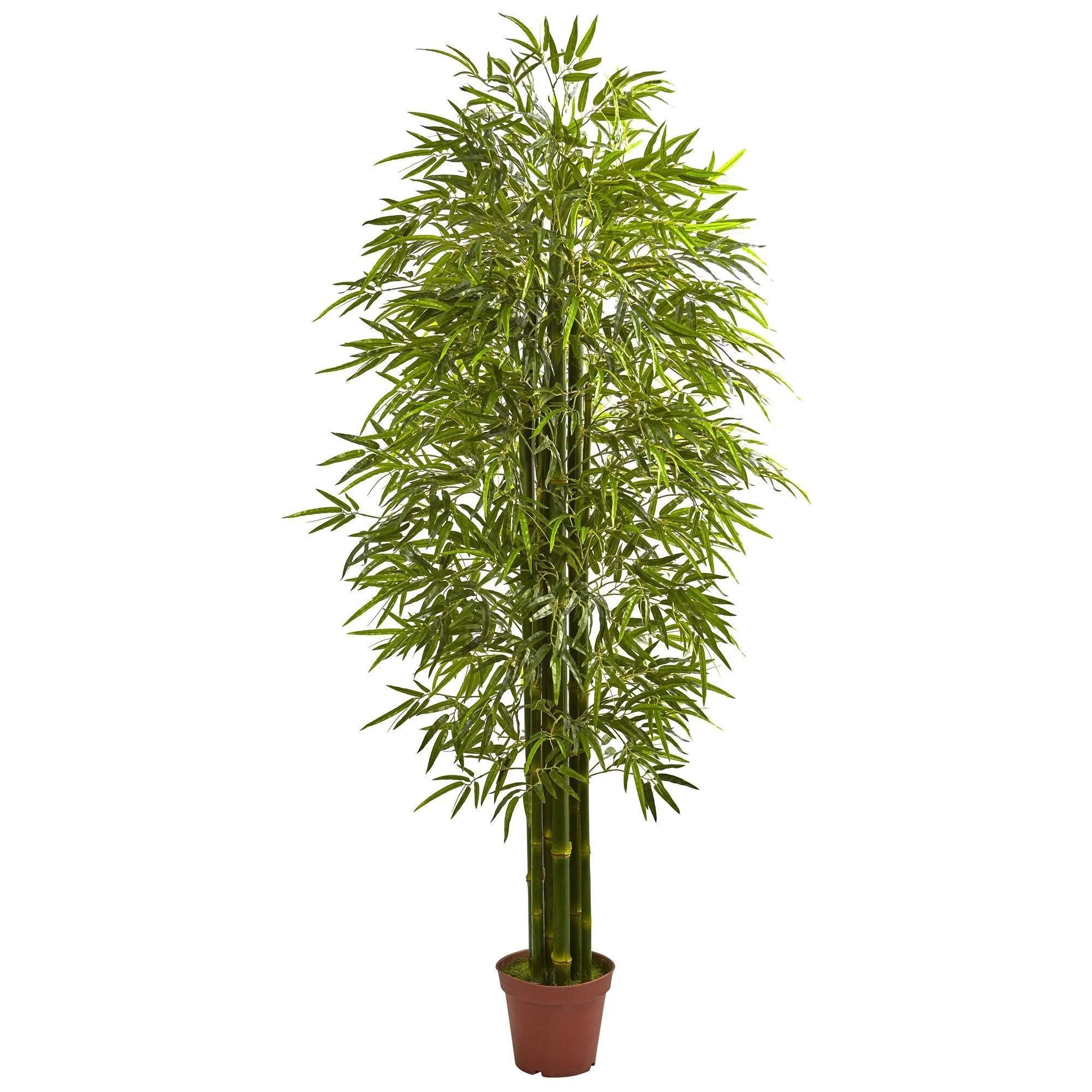 7' Bamboo Tree UV Resistant (Indoor/Outdoor) - Image 4