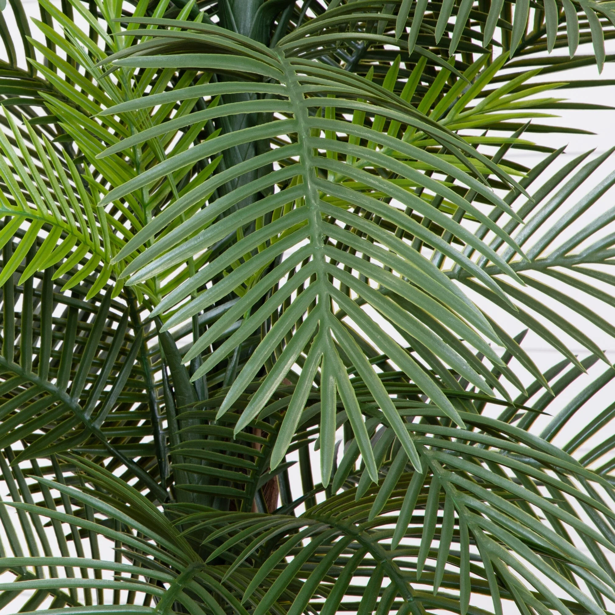 7’ Double Robellini Palm Tree UV Resistant (Indoor/Outdoor) - Image 2