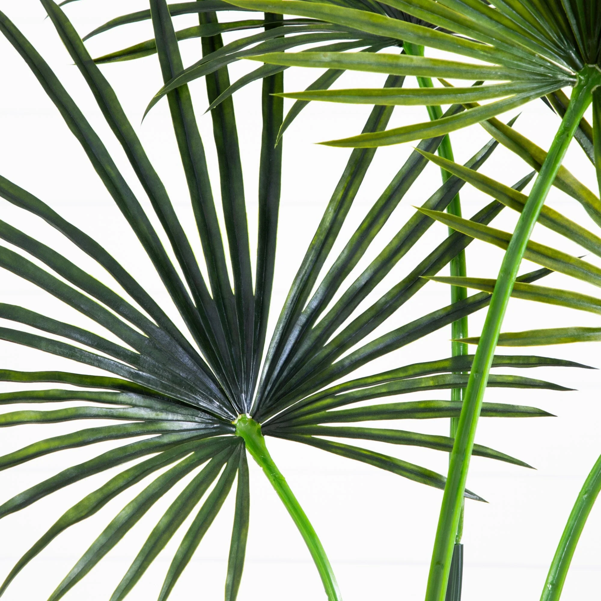 7’ Fan Palm Tree UV Resistant (Indoor/Outdoor) - Image 2