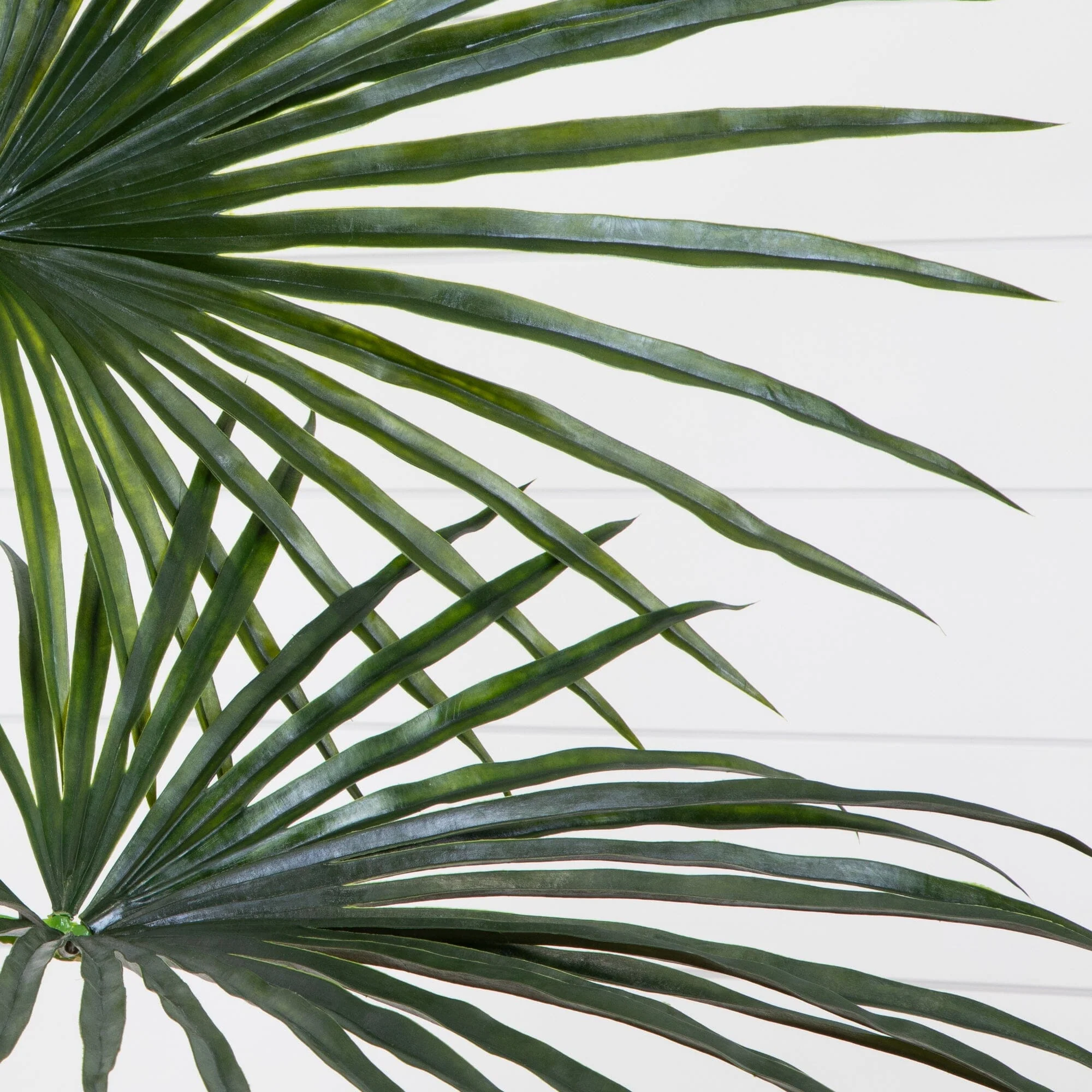 7’ Fan Palm Tree UV Resistant (Indoor/Outdoor) - Image 4