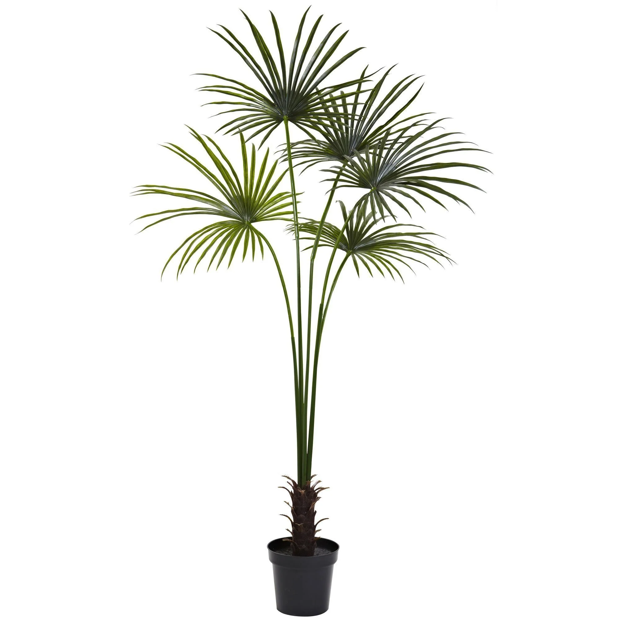 7’ Fan Palm Tree UV Resistant (Indoor/Outdoor) - Image 7