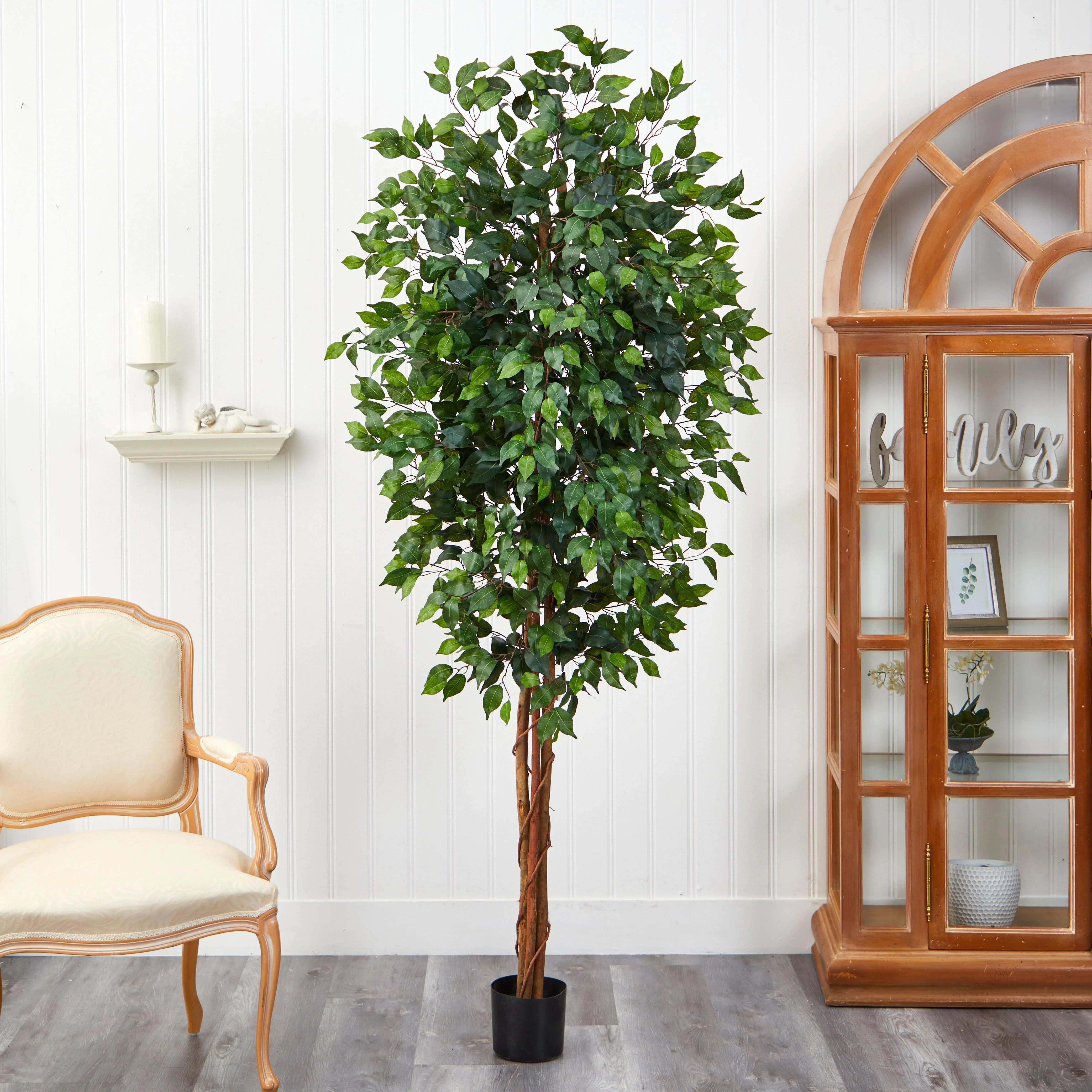 7' Ficus Silk Tree - Image 2