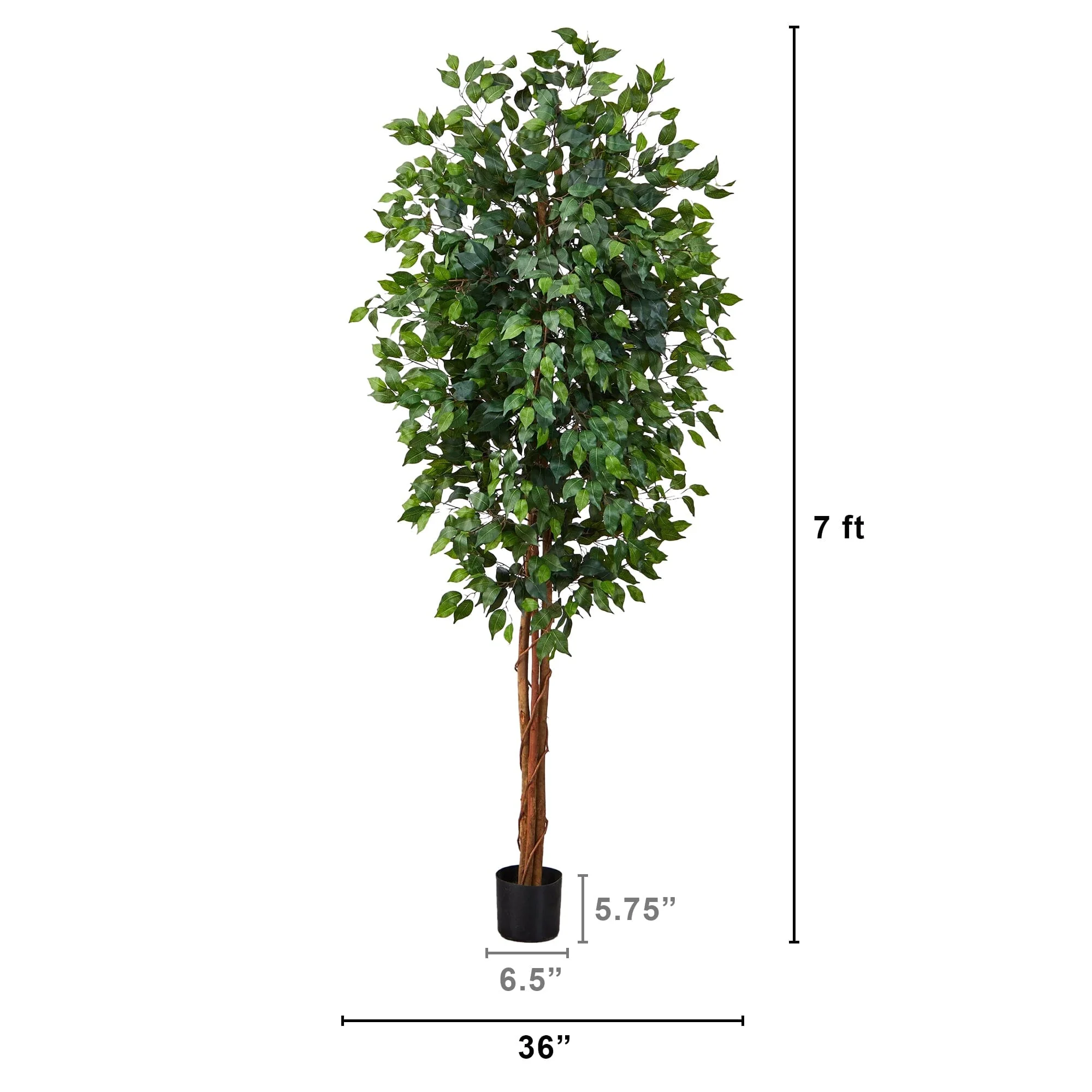 7' Ficus Silk Tree - Image 4