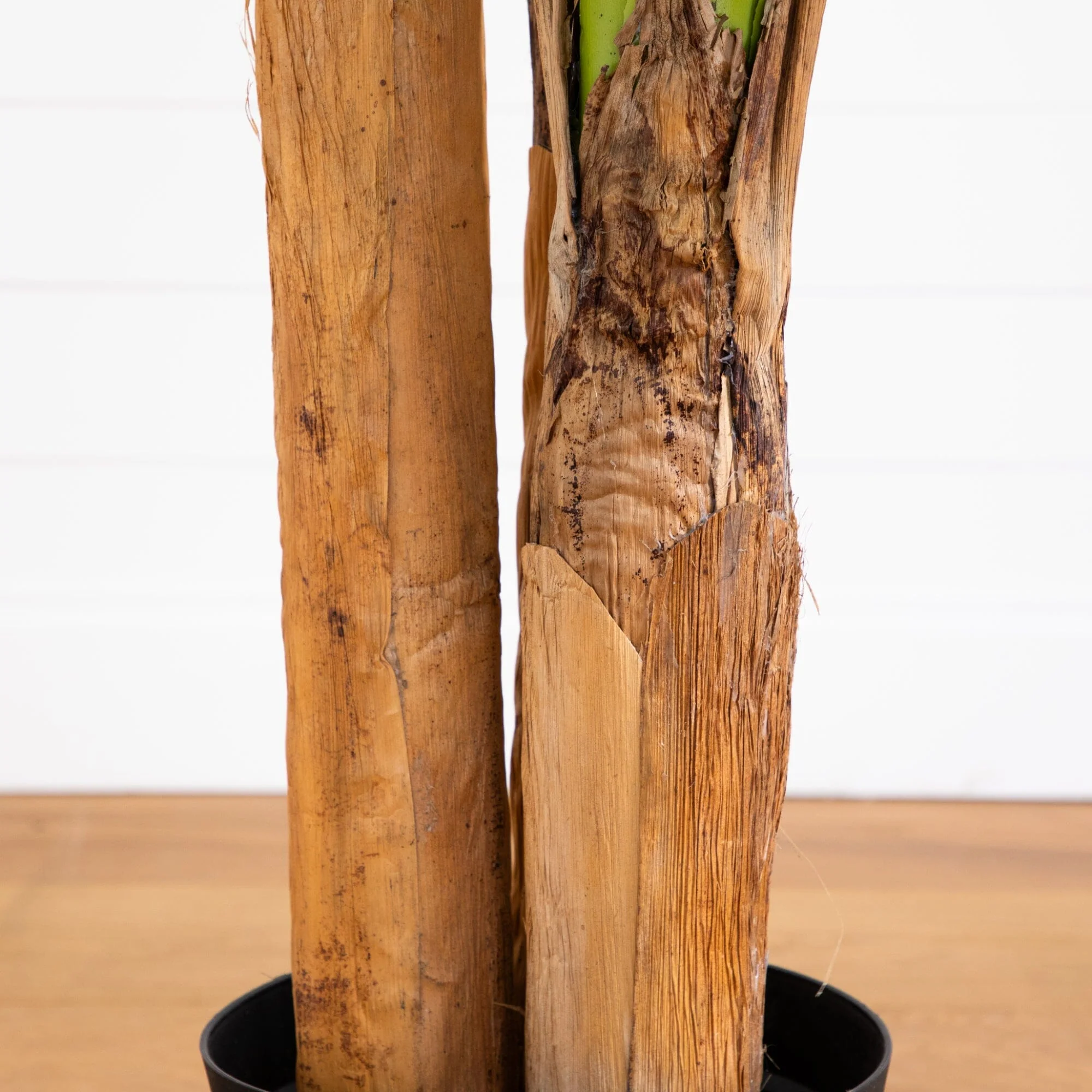 7' Giant Triple Stalk Banana Tree UV Resistant (Indoor/Outdoor) - Image 3