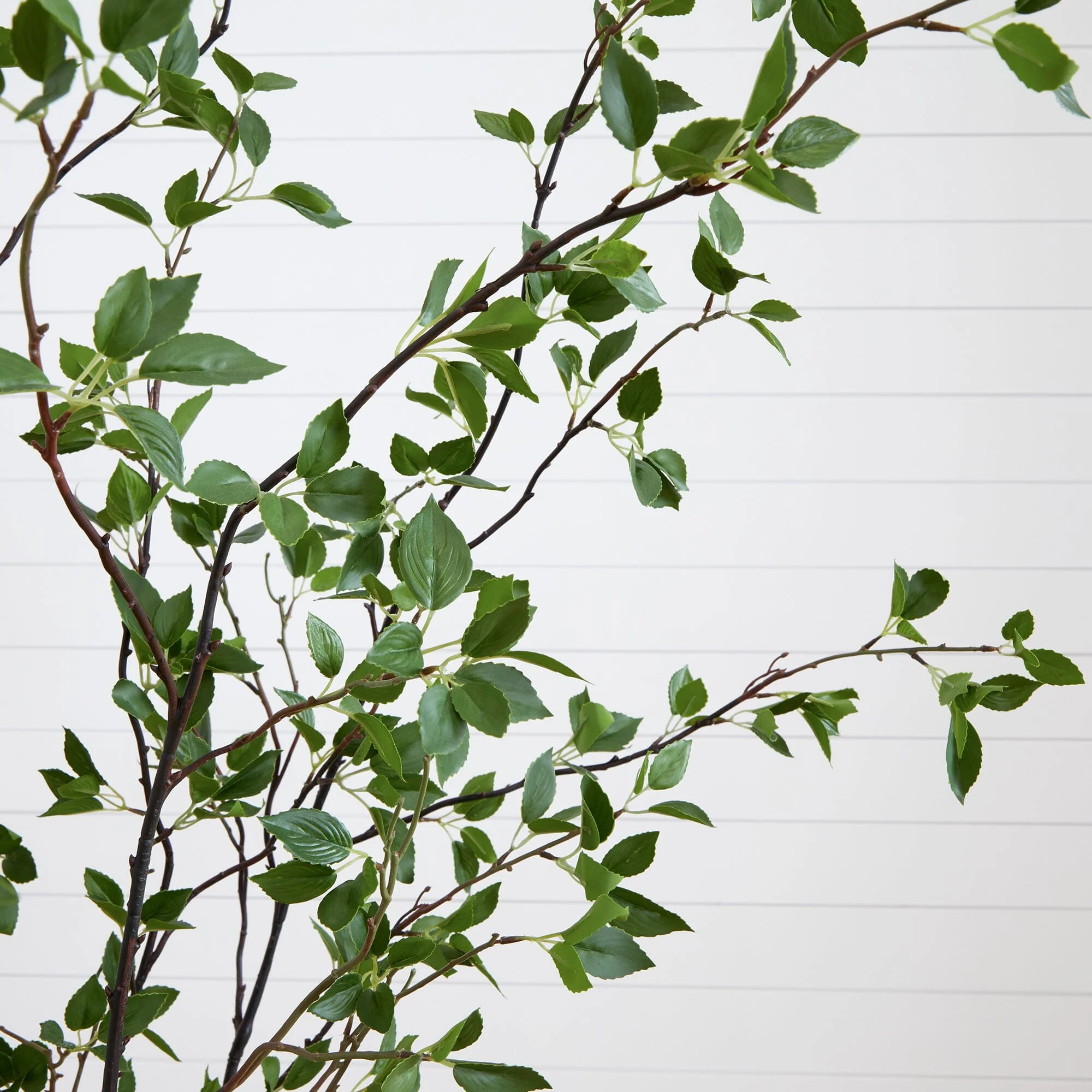 7' Minimalist Citrus Artificial Tree - Image 2