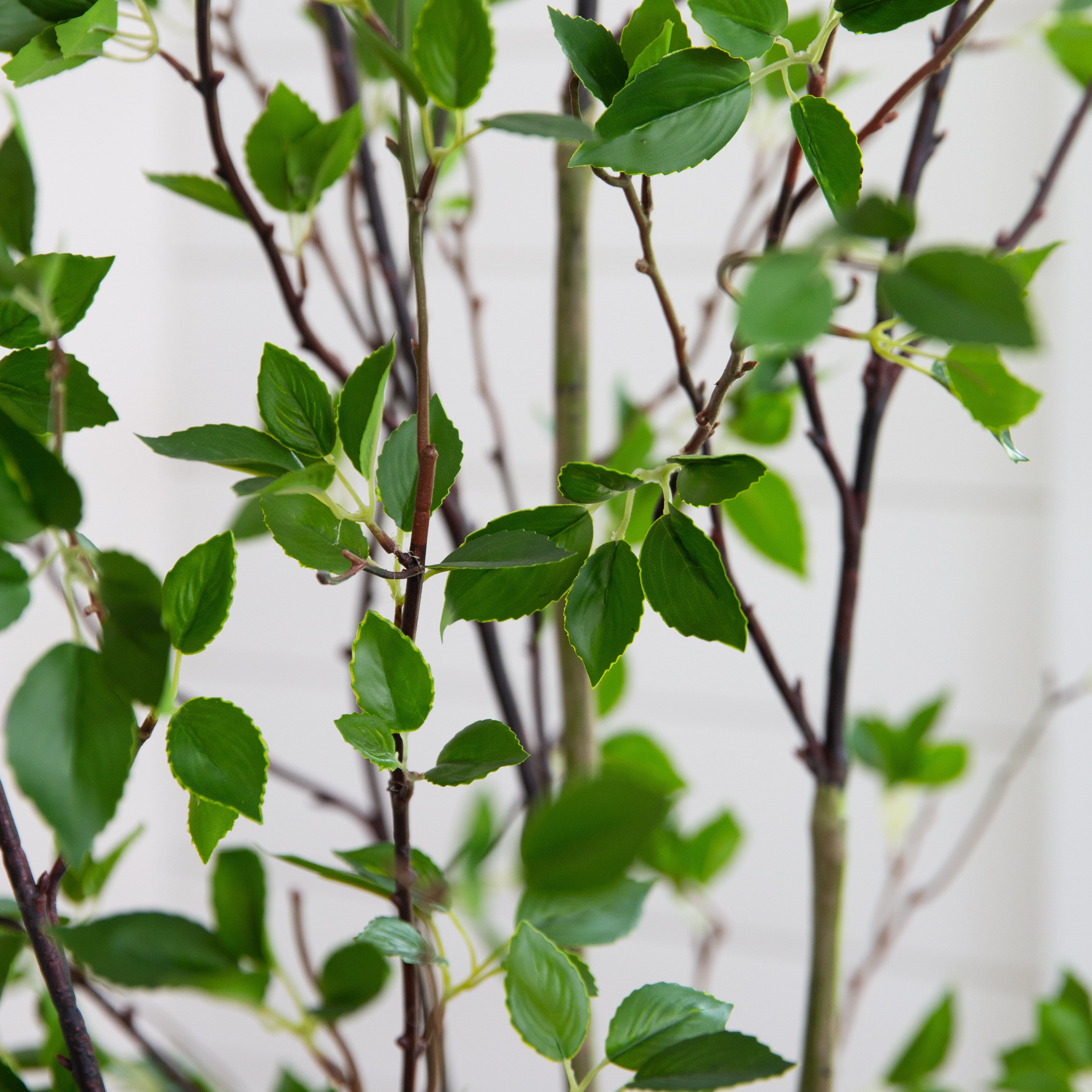 7' Minimalist Citrus Artificial Tree - Image 3