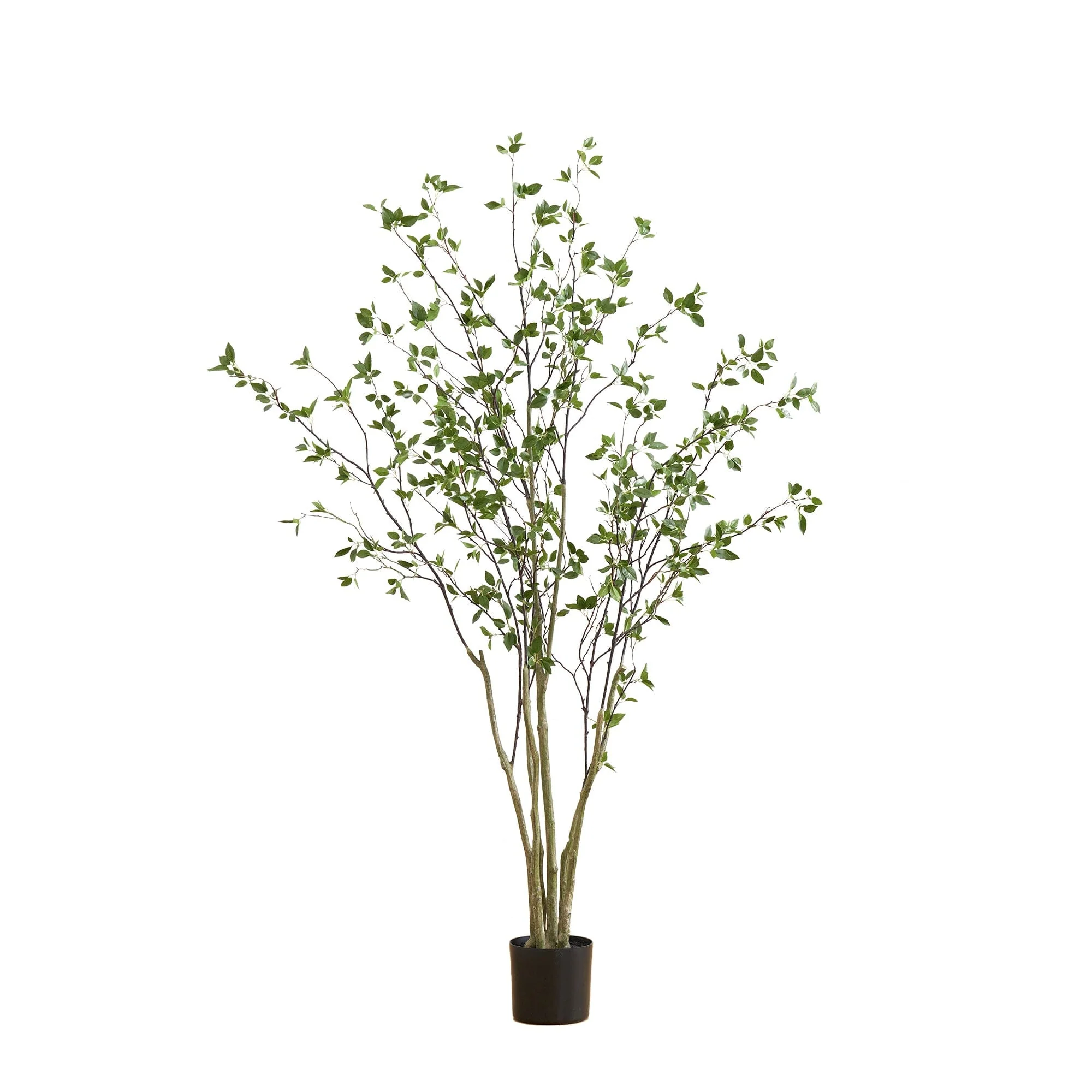 7' Minimalist Citrus Artificial Tree - Image 6