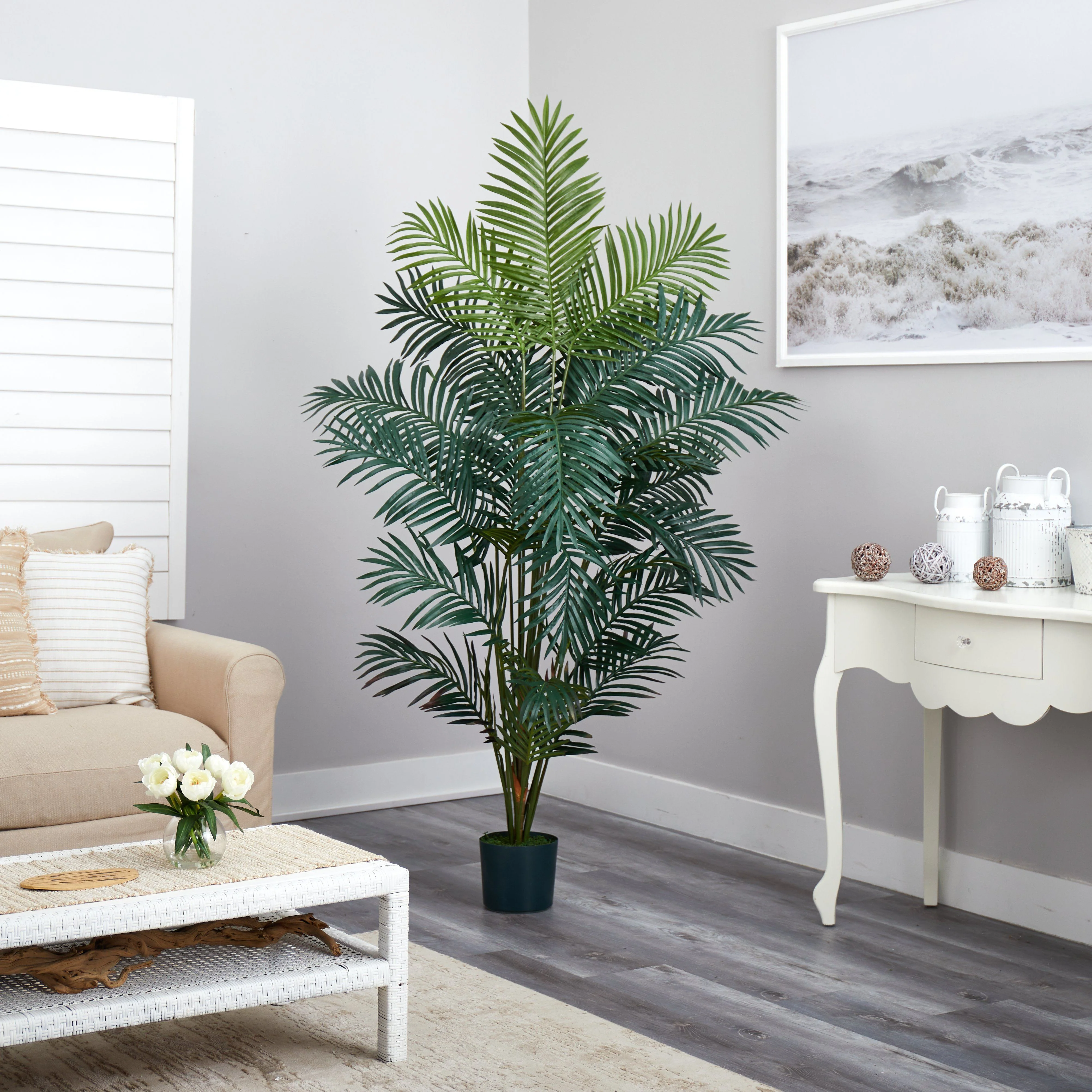 7' Paradise Palm - Image 4