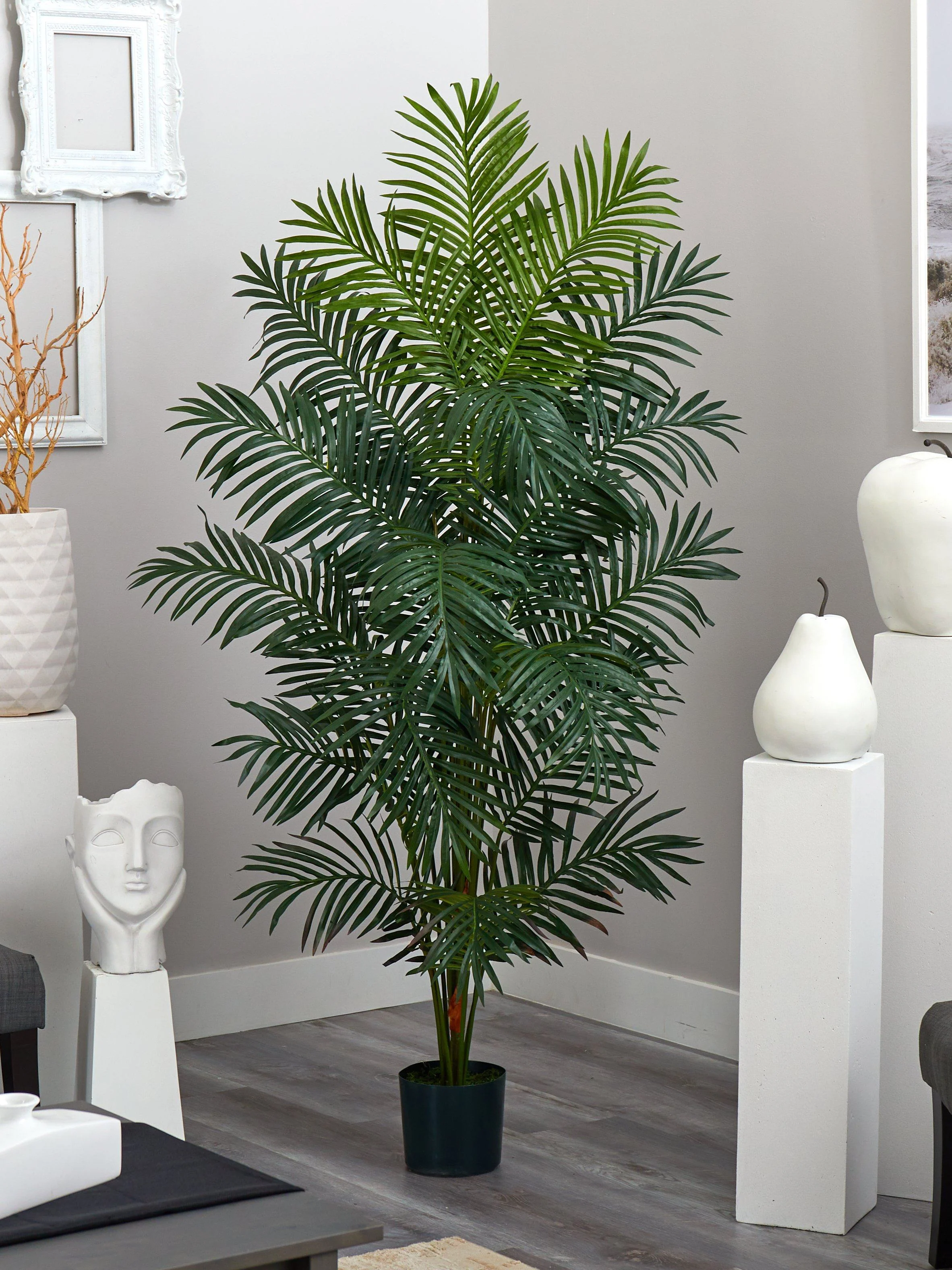 7' Paradise Palm - Image 6