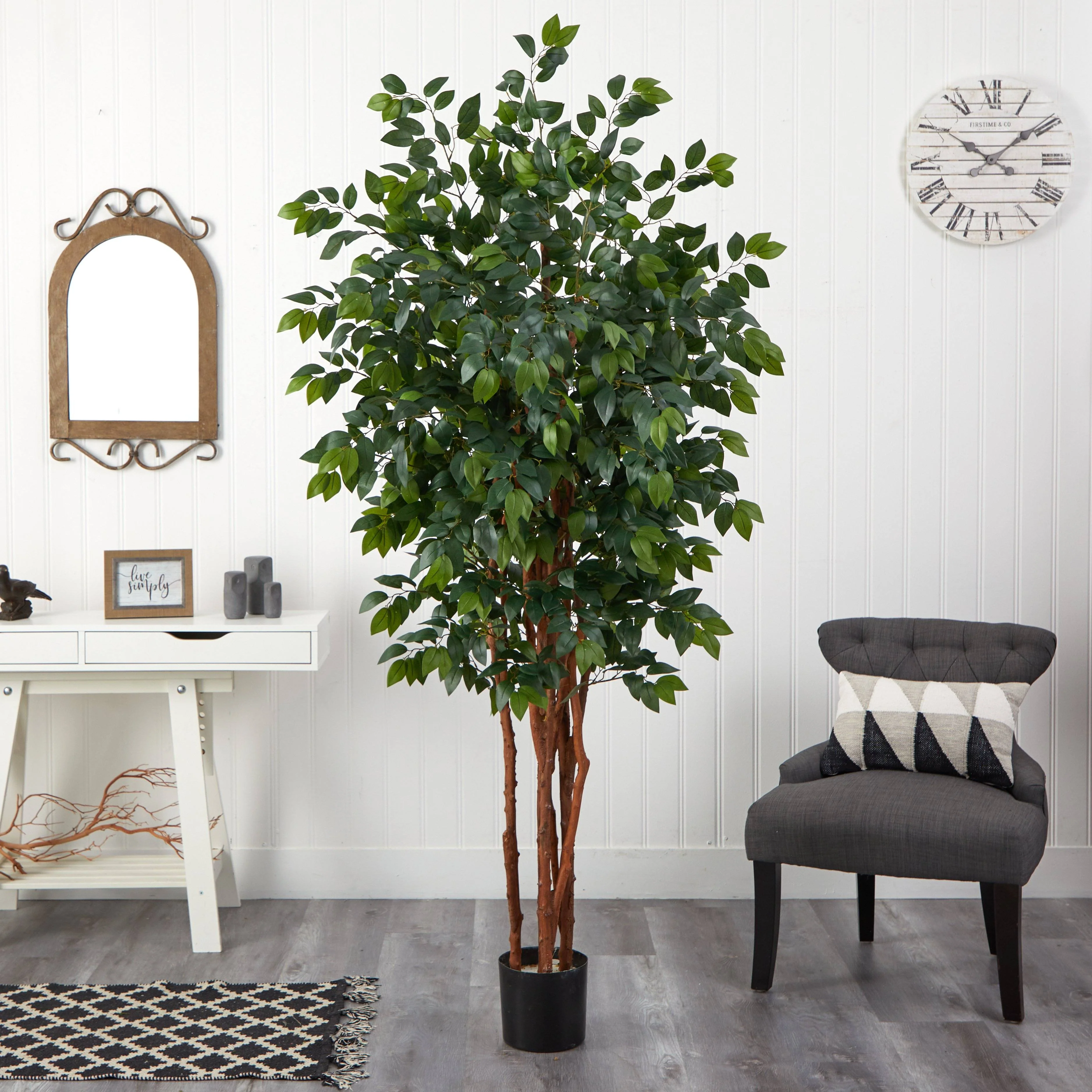 7’ Sakaki Silk Tree - Image 5