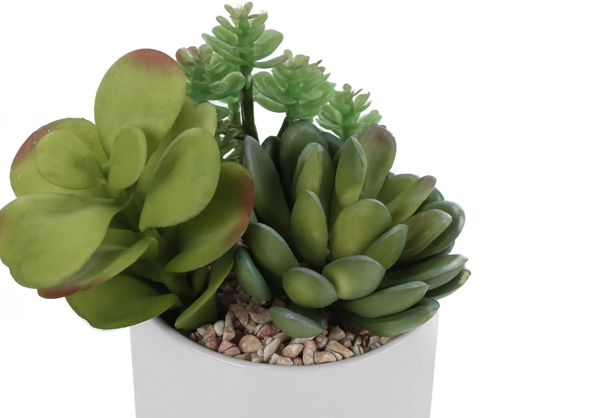 7" Tall, Artificial Plant, Succulent, Indoor, Faux, Fake, Table, Greenery, Potted, Decorative (Set of 2) - Green / White - Image 3
