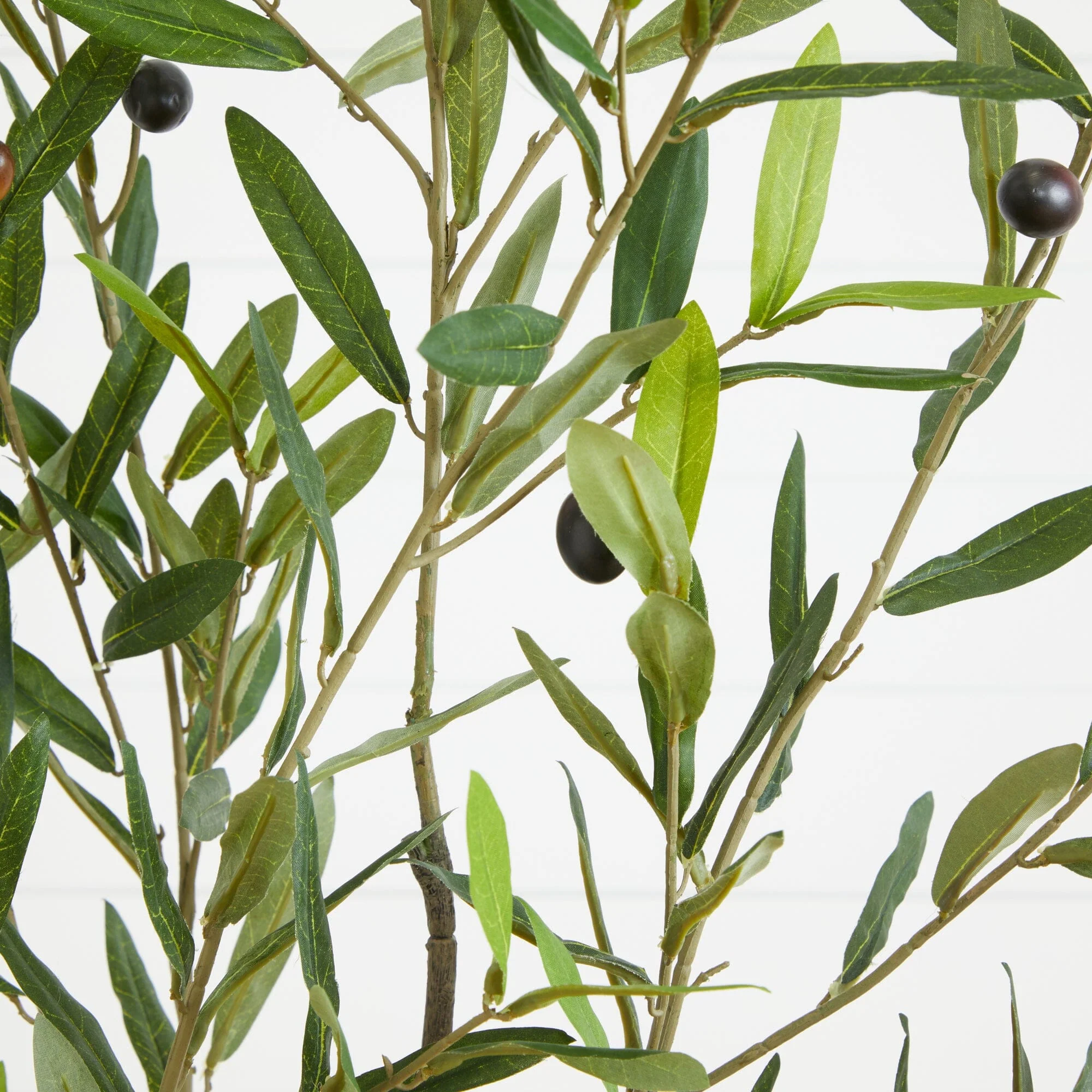 70” Olive Artificial Tree in White Tin Planter - Image 2