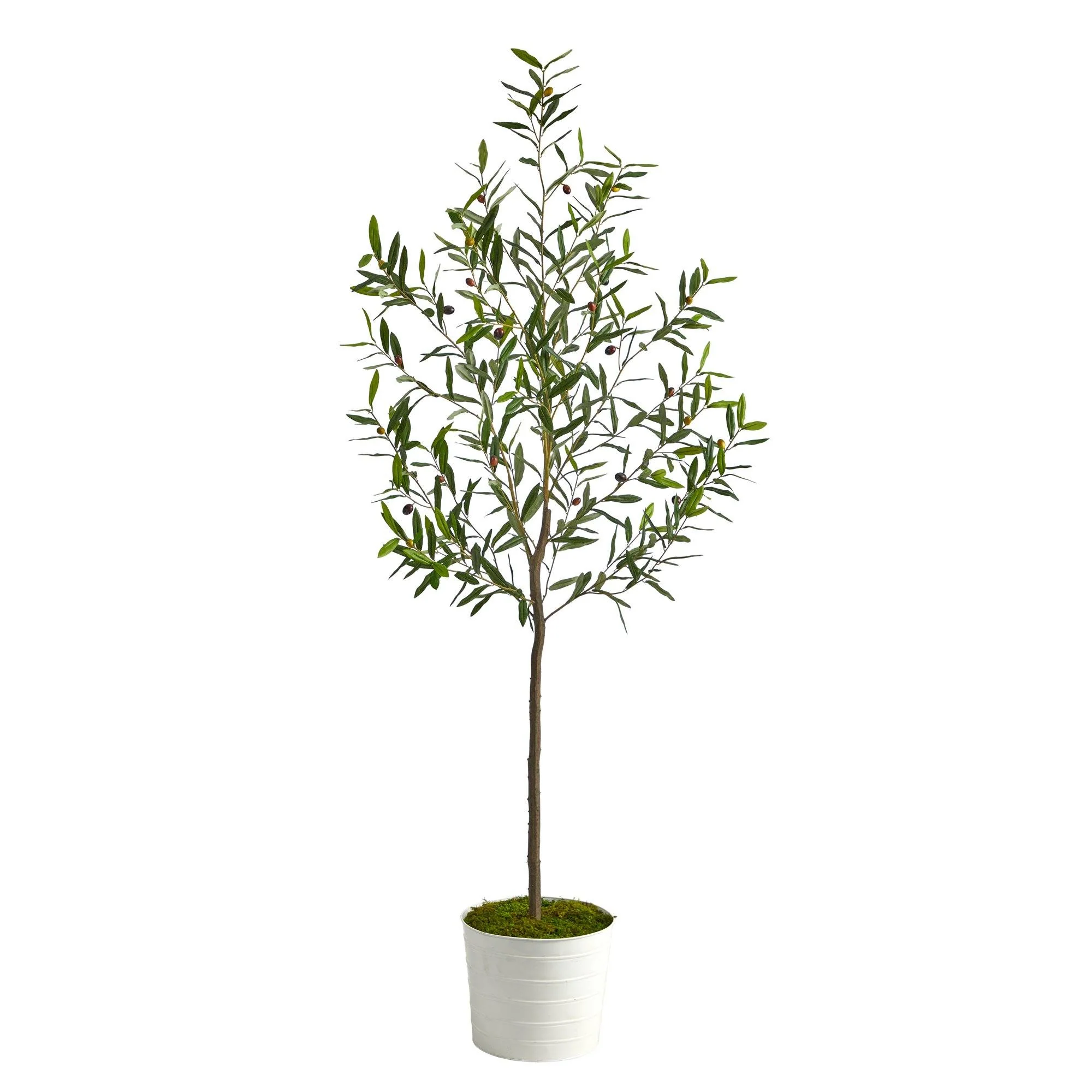 70” Olive Artificial Tree in White Tin Planter - Image 5