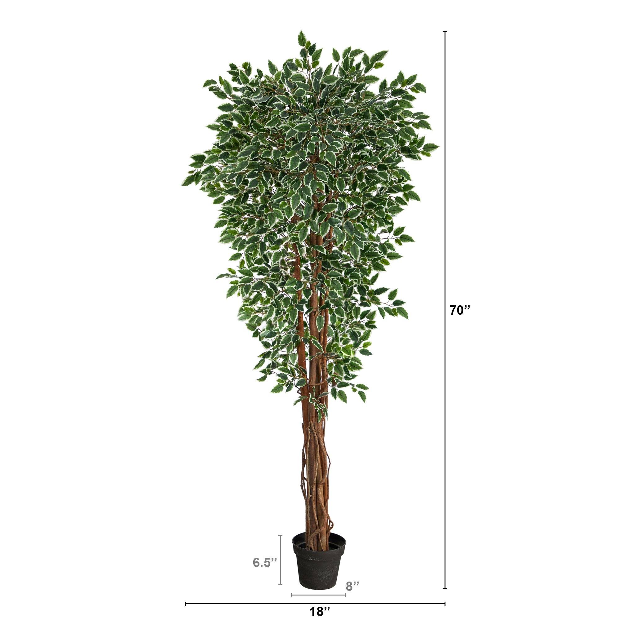 70” Variegated Ficus Artificial Tree UV Resistant (Indoor/Outdoor) - Image 2